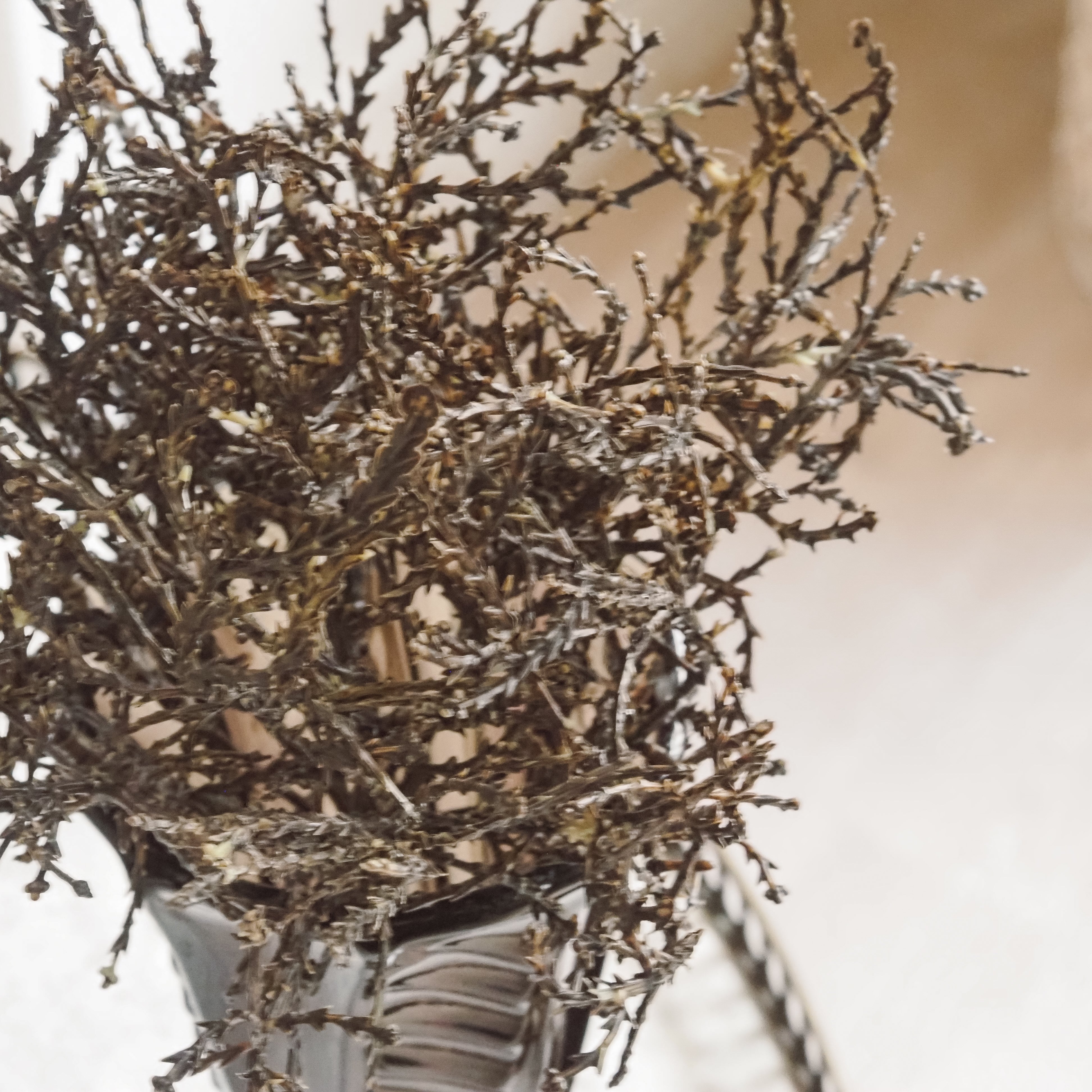 Santolinazweig · Naturinspirierter Dekorationszweig