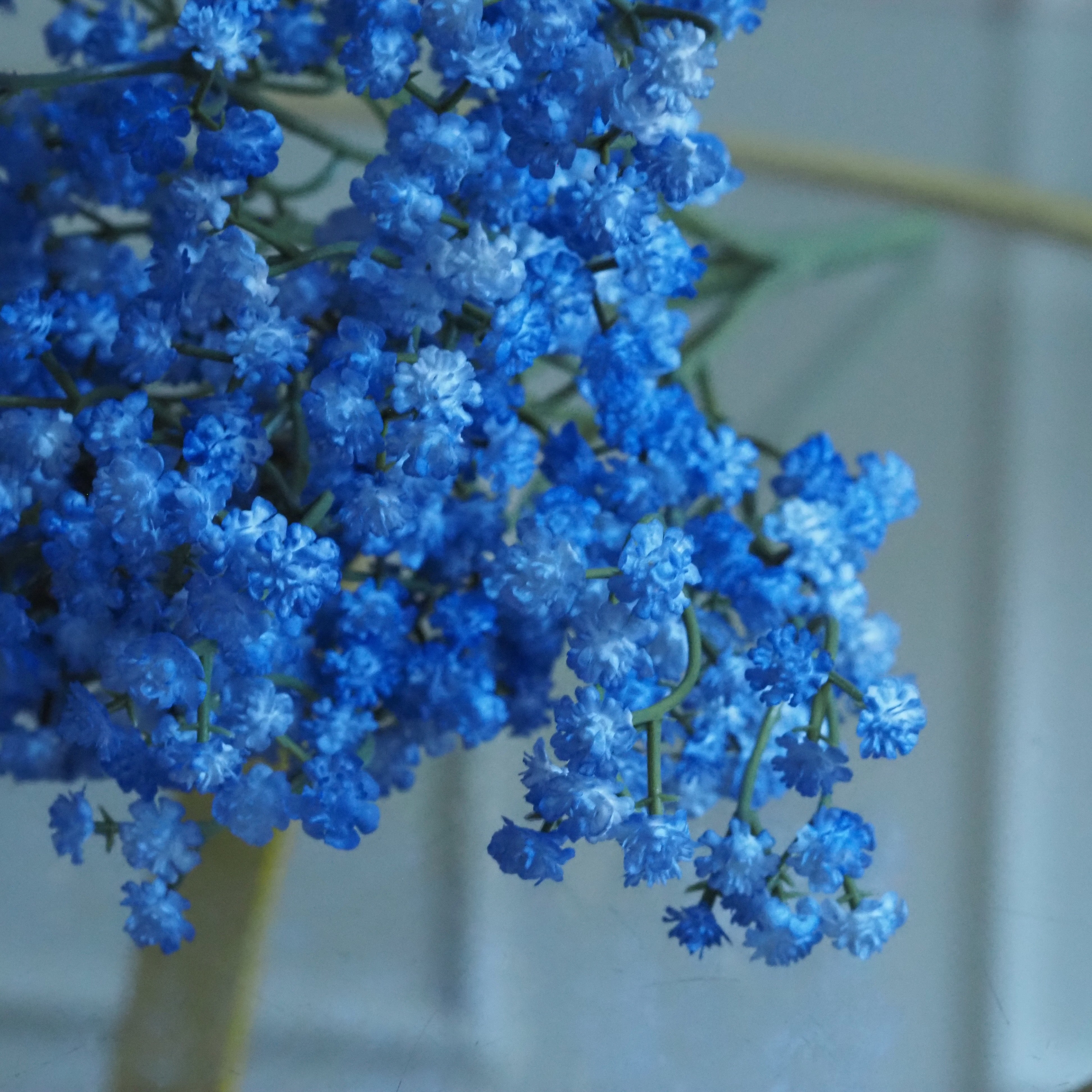 Gypsophila Zweig · Schleierkraut-Bündel in hellvioletter Ausführung