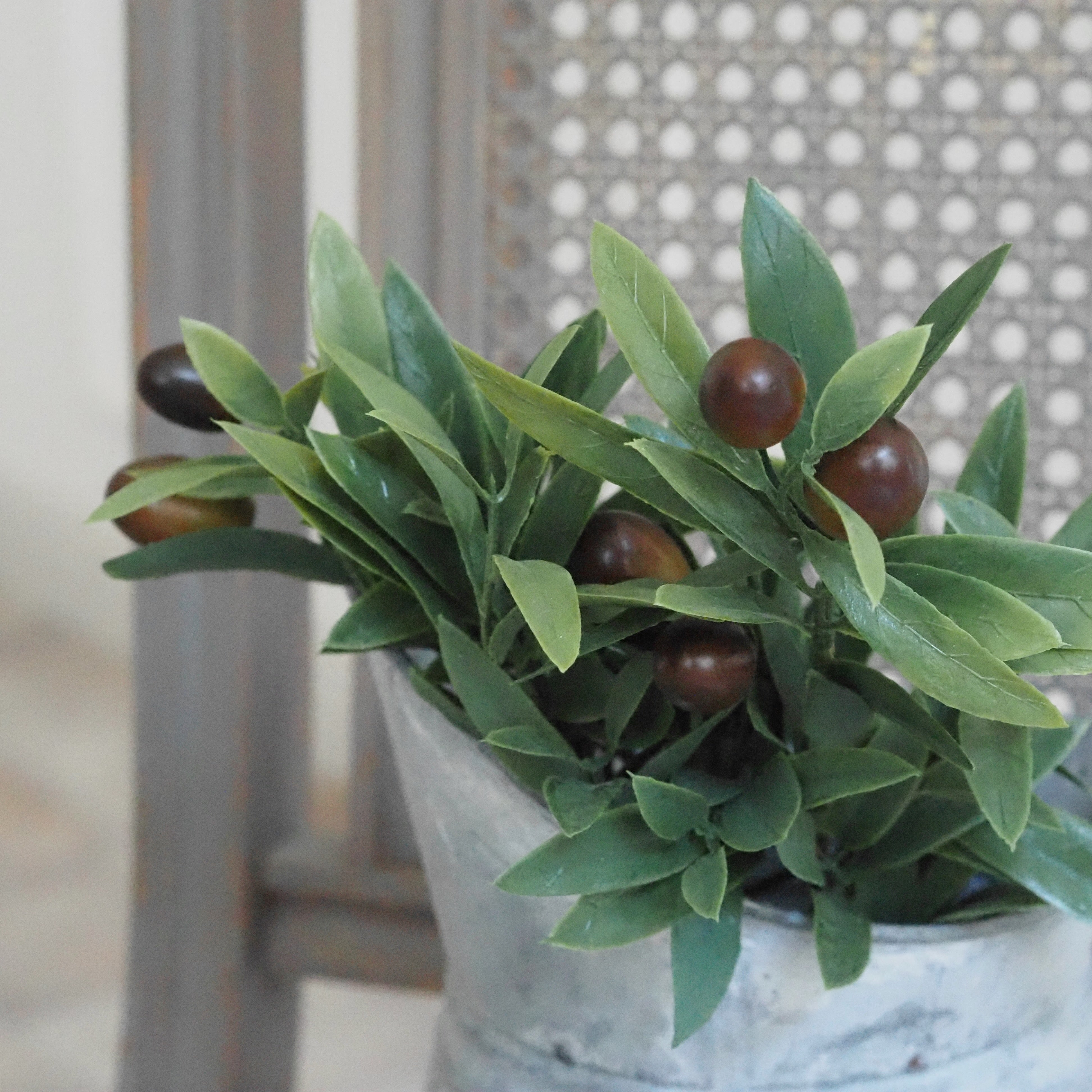 Olivenbusch mit Früchten · Dekozweig mediterran, 38 cm lang