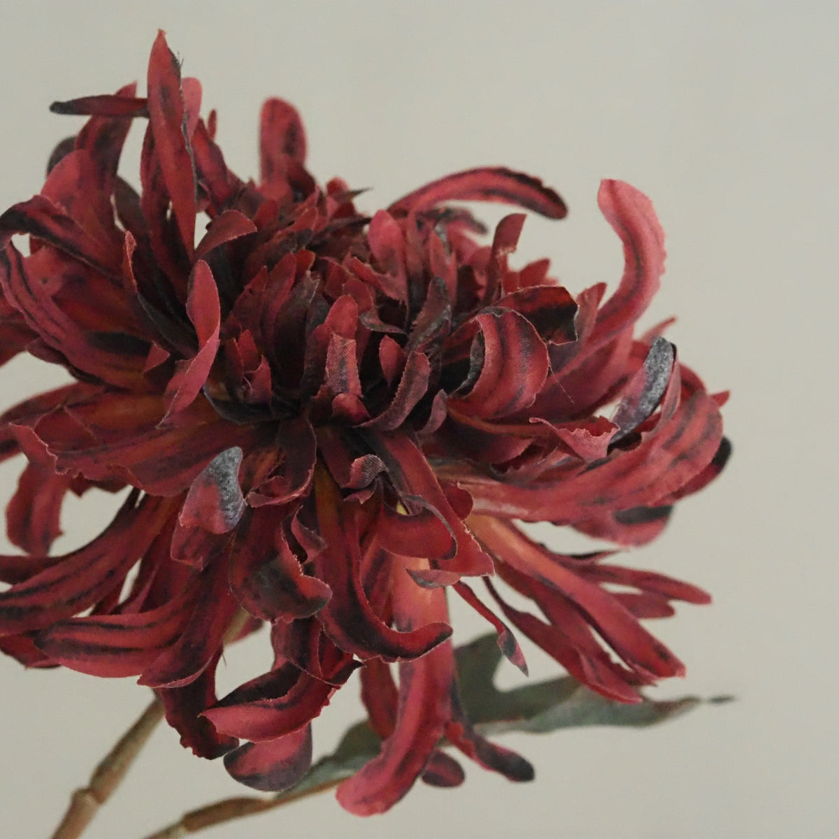 Chrysantheme Burgund · Gefüllte Textilblüte Langstiel