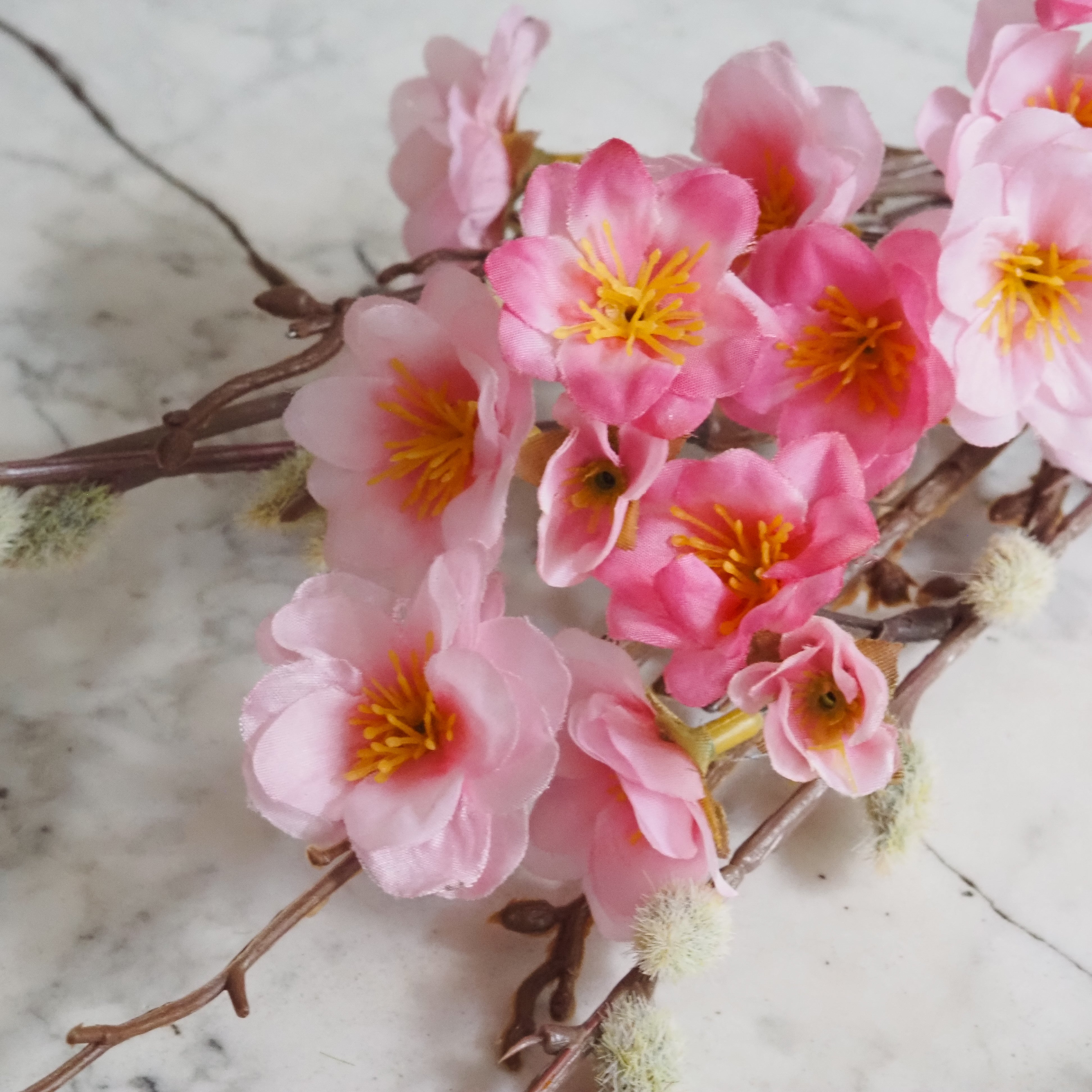 Pfirsichblütenzweig · dekorativer Frühlingszweig