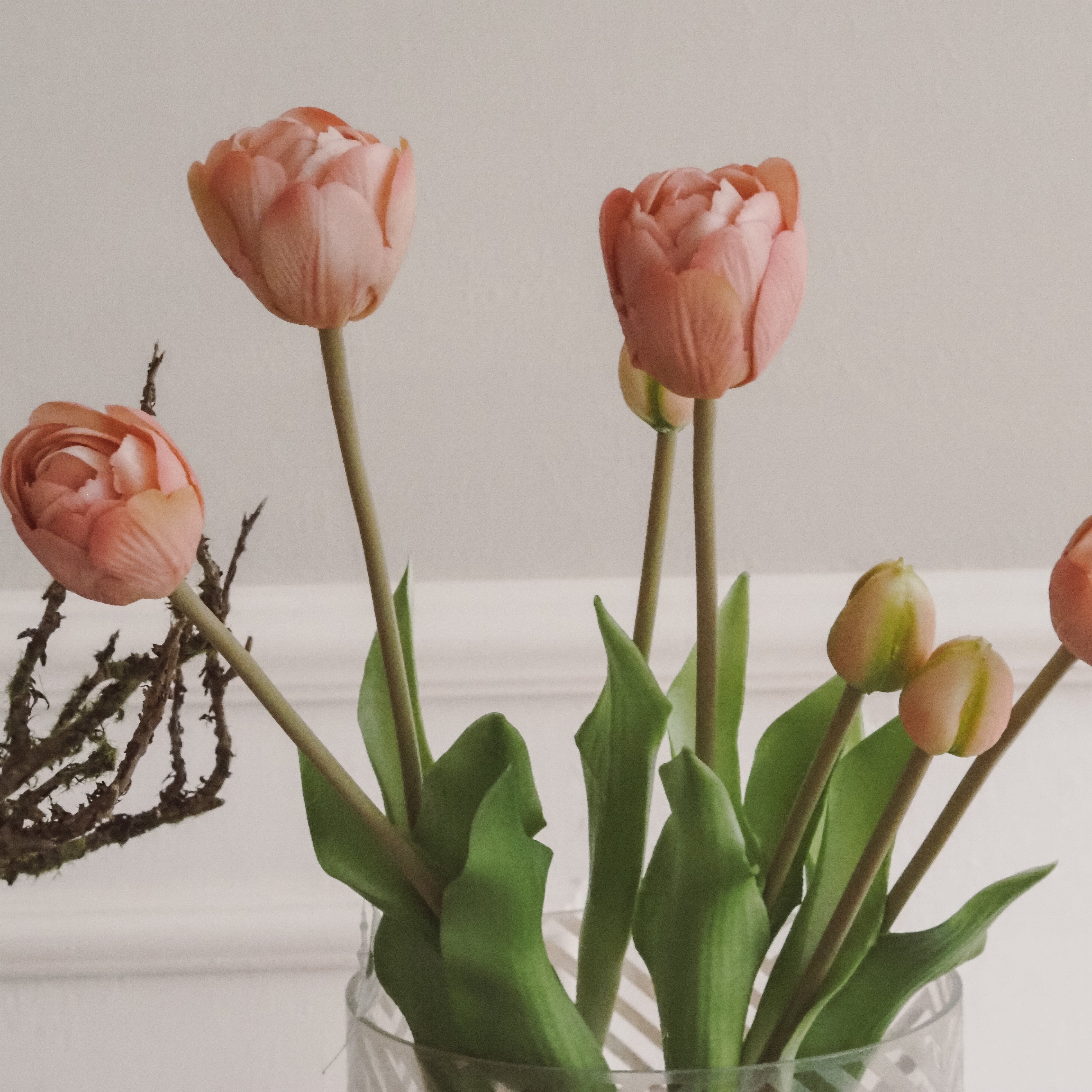 Tulpenbund Rosé · dekorativer Tulpenzweig im botanischen Stil