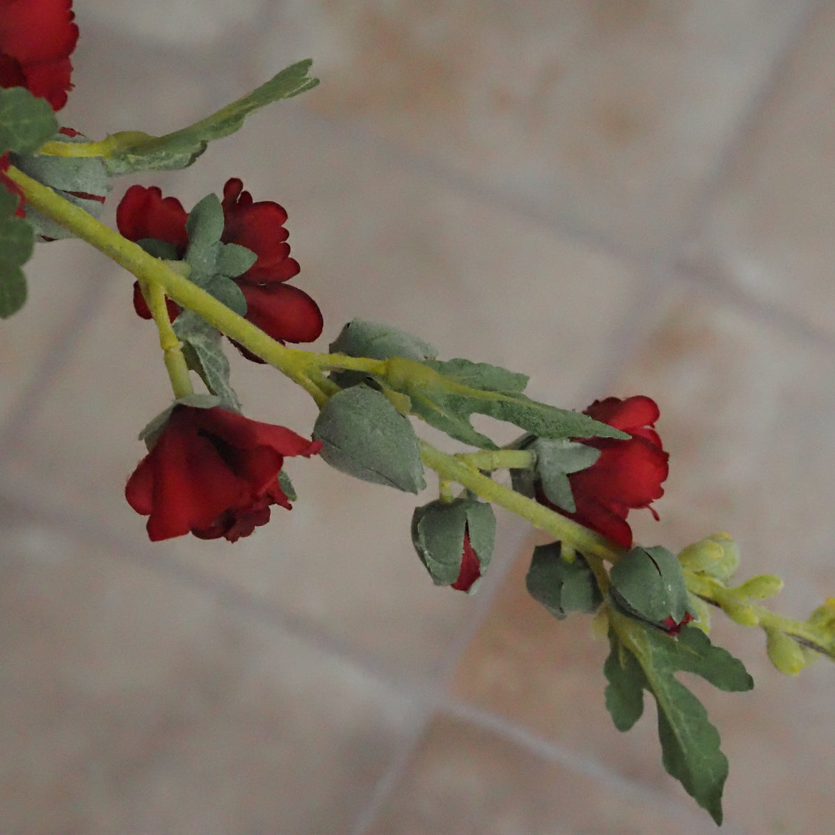 Stockrose Rot · Blütenstiel nach Bauerngarten-Vorbild