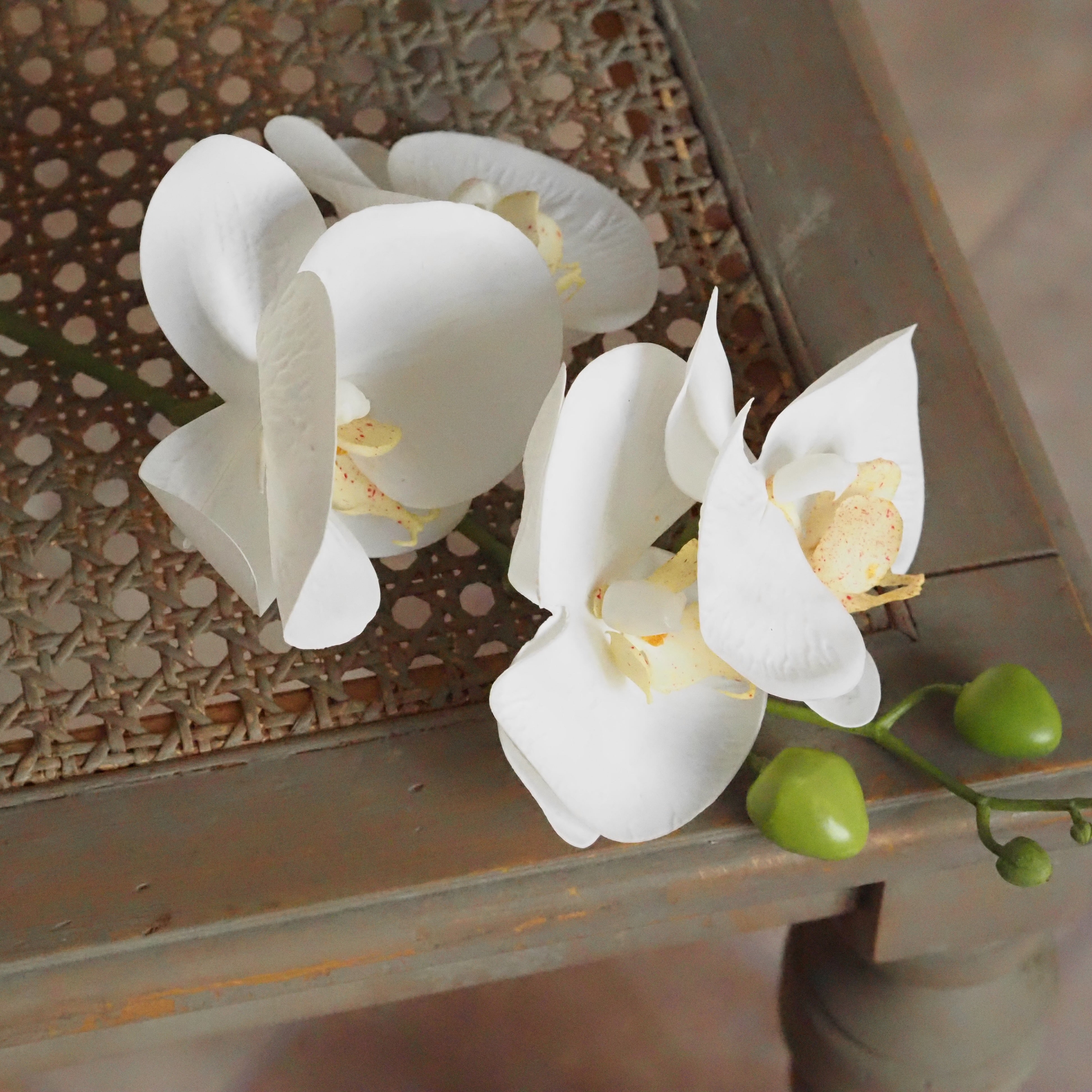 Orchidee Real Touch Creme · Phalaenopsis 66 cm
