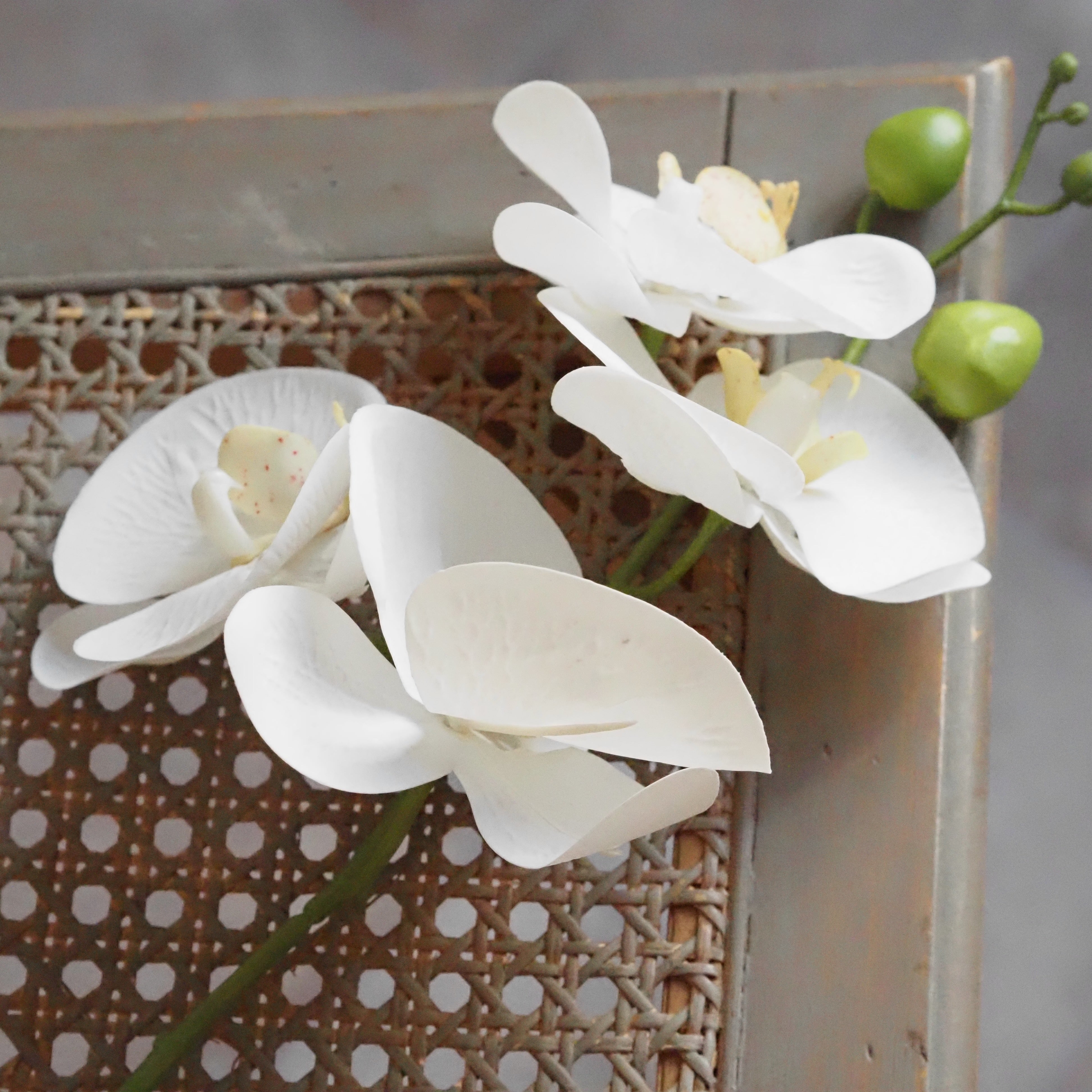 Orchidee Real Touch Creme · Phalaenopsis 66 cm