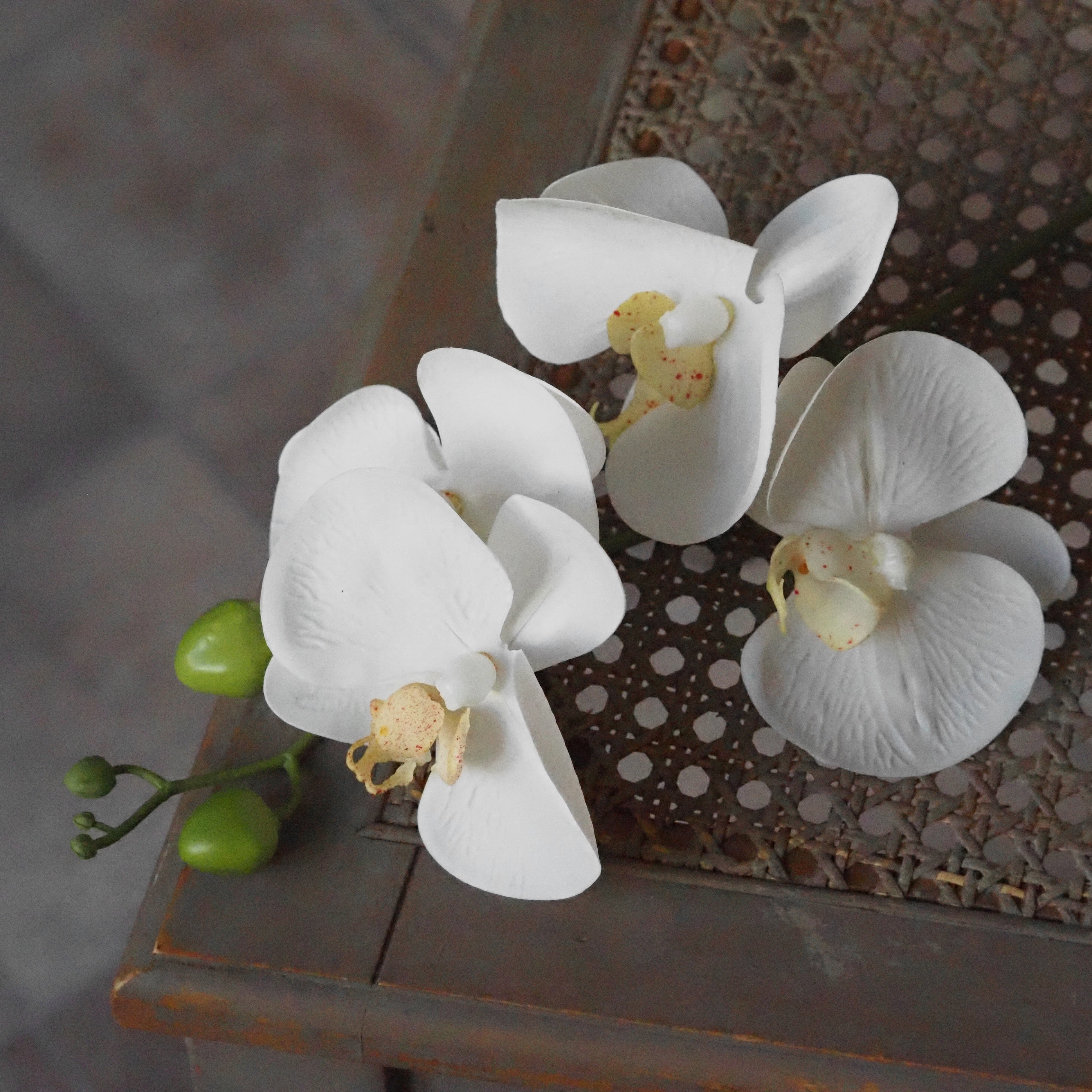 Orchidee Real Touch Creme · Phalaenopsis 66 cm