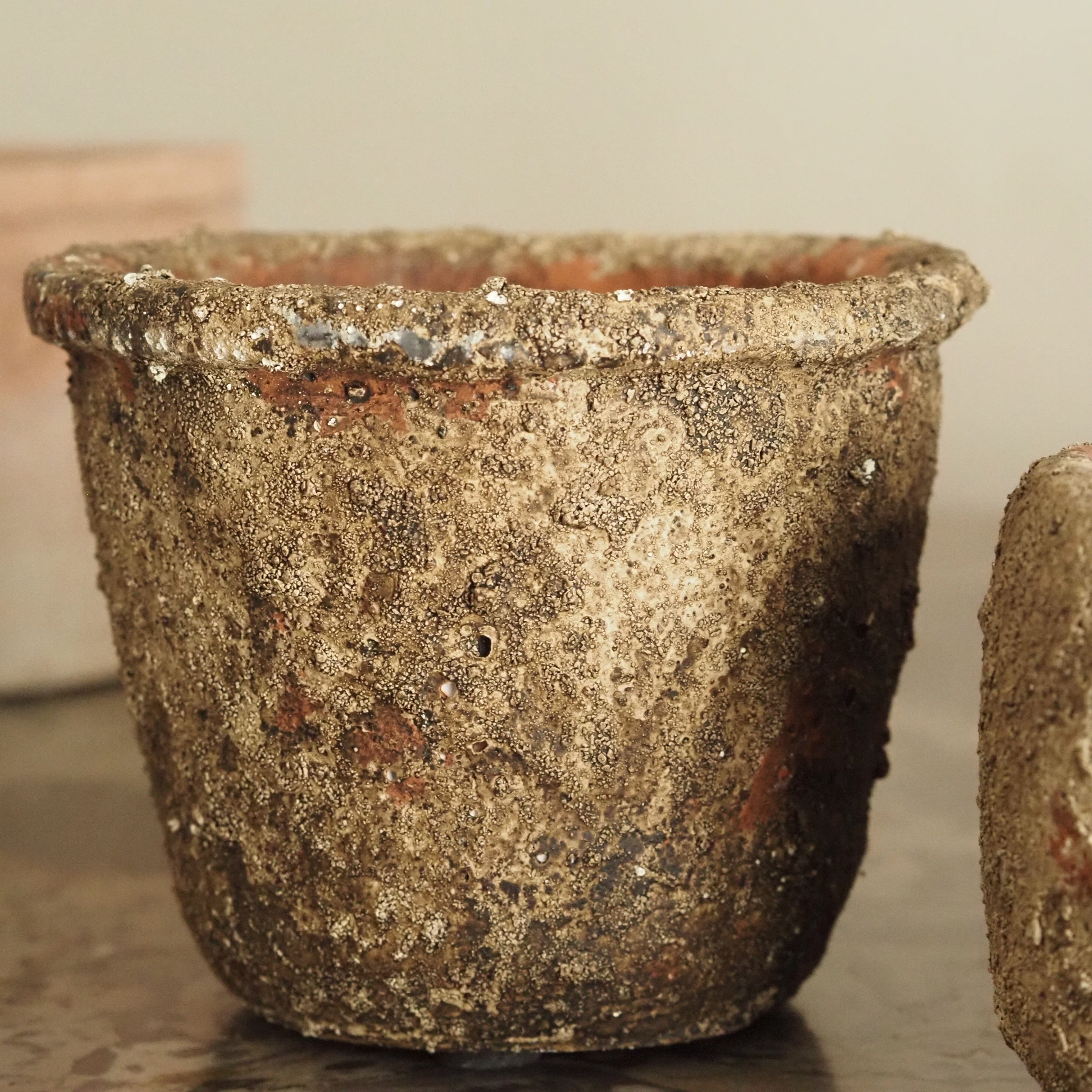 3er-Set Mini-Töpfe Natur · strukturierte Pflanzgefäße im Terrakotta-Stil