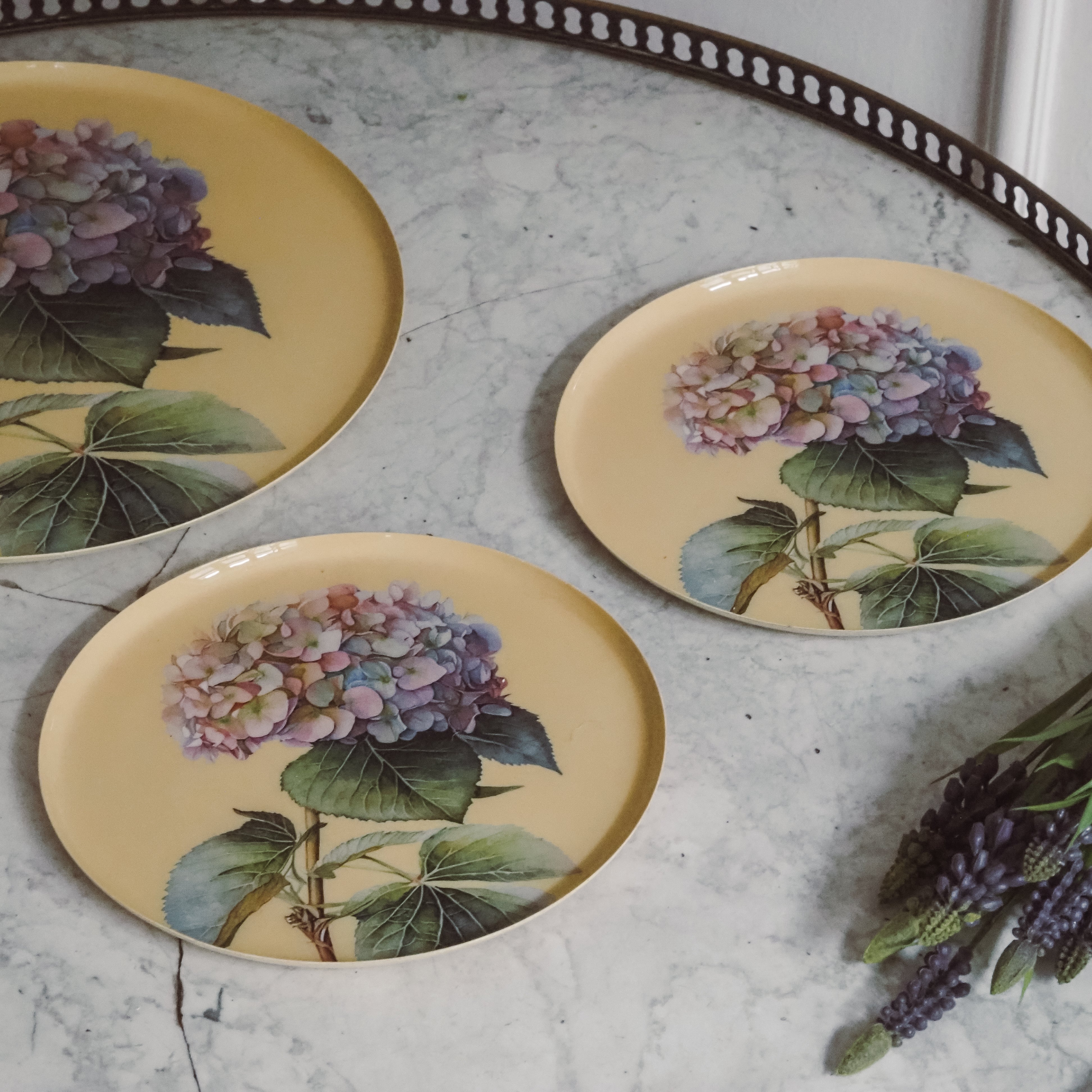 Hortensien Teller Set · Botanisches Tablettset mit floraler Illustration
