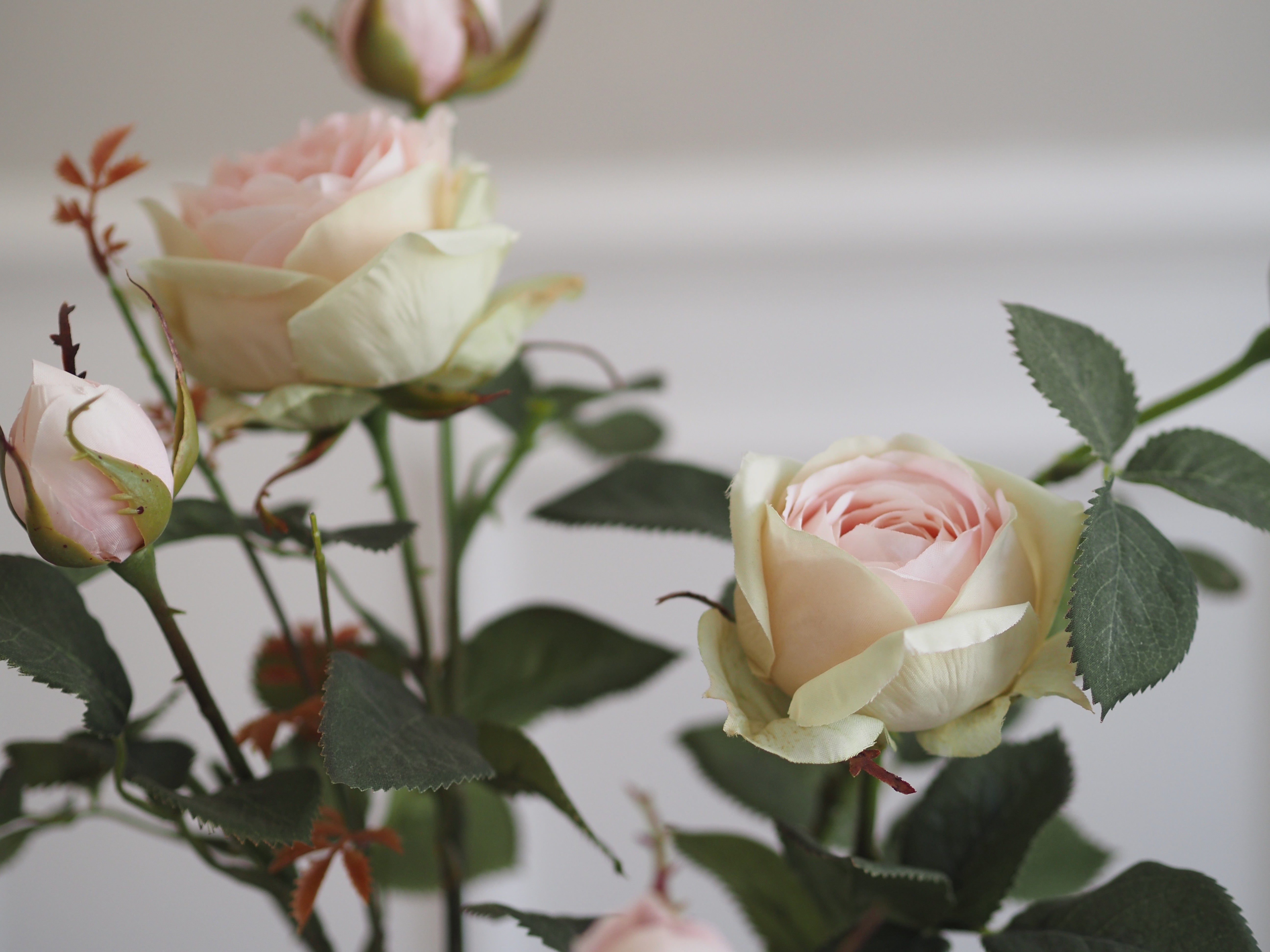 Rosenstrauch im Topf · dekorative Kunstrose · florale Tischdekoration