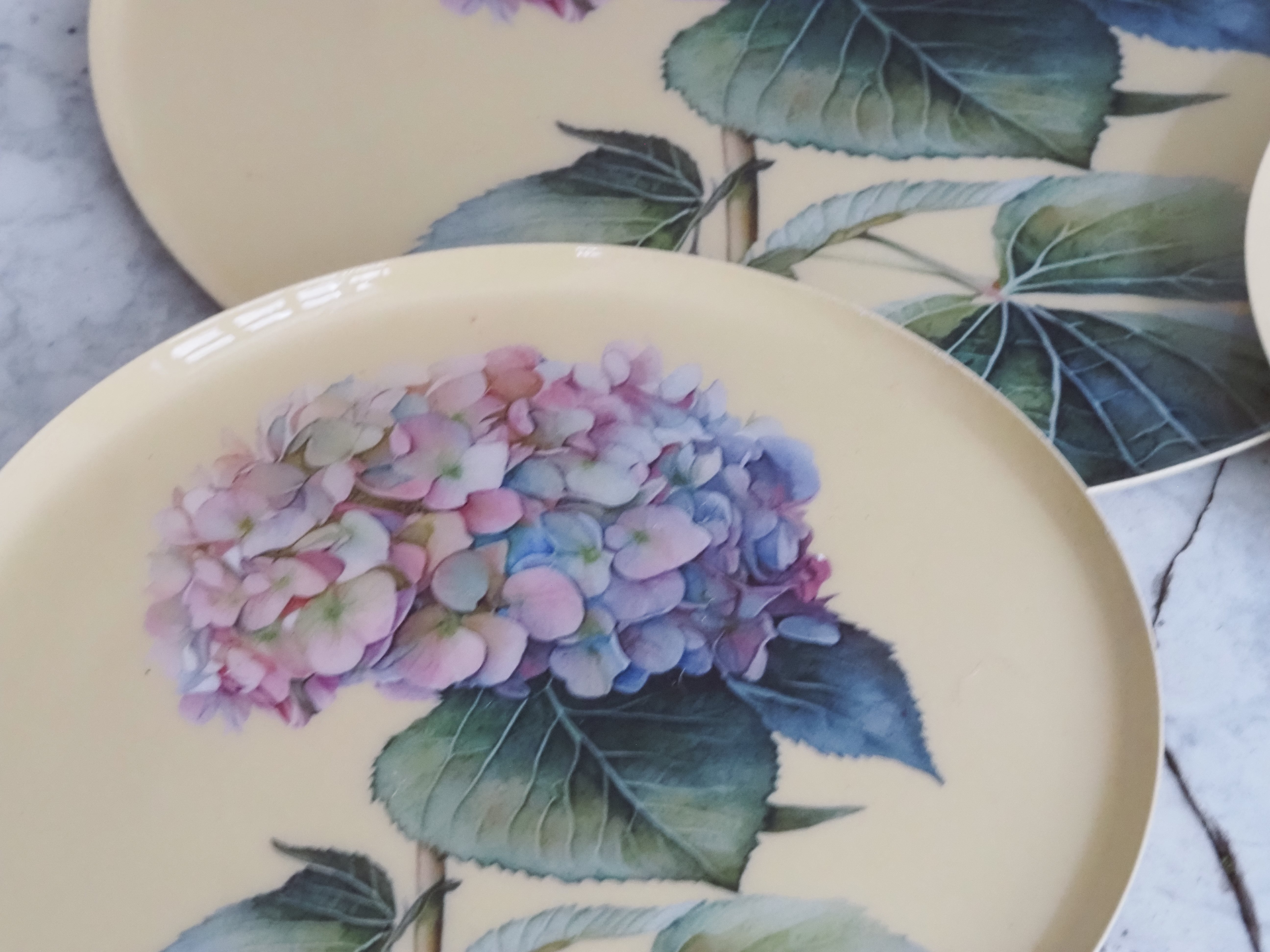 Hortensien Teller Set · Botanisches Tablettset mit floraler Illustration