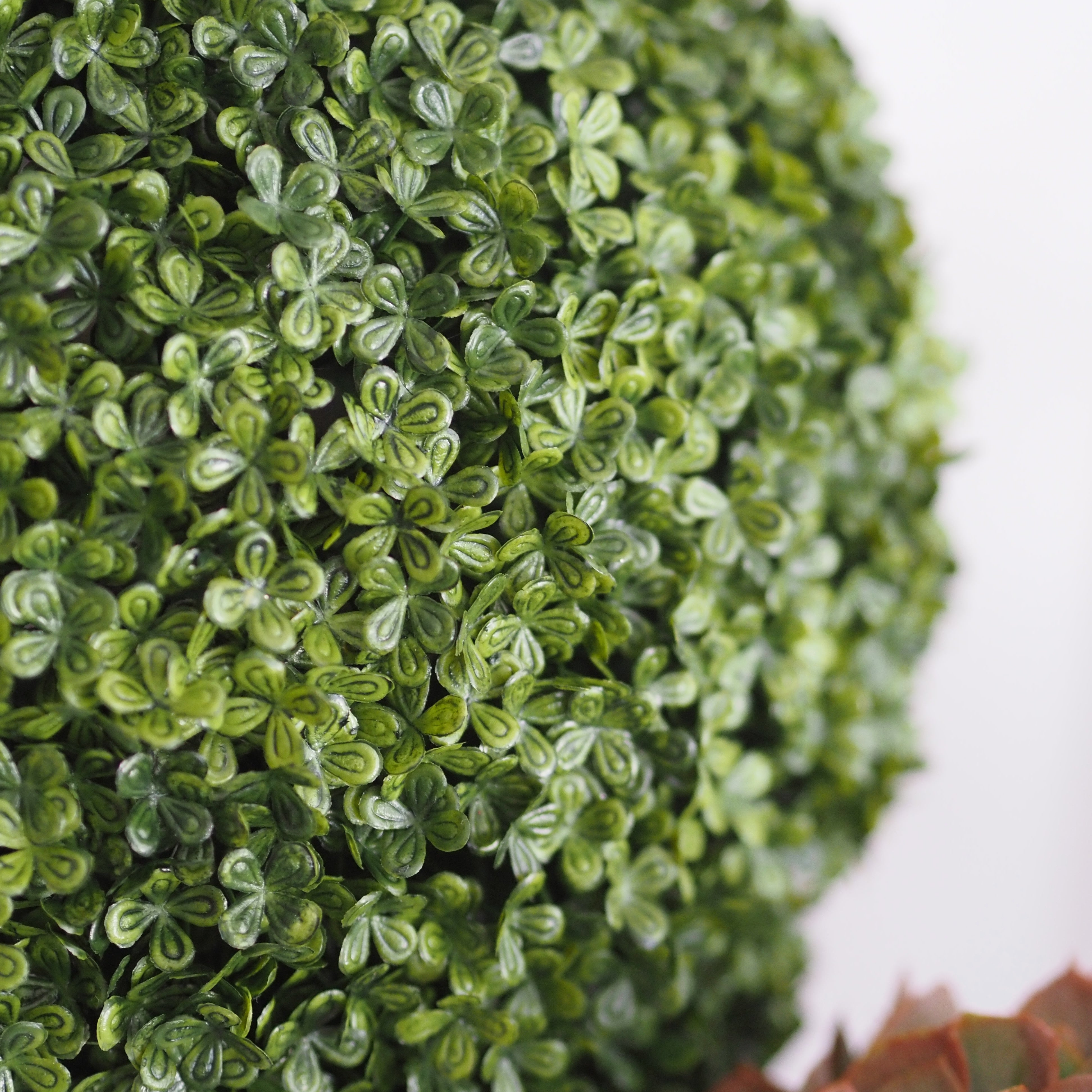 Buchskugel Grün · Dicht gearbeitete Kugelform in klassischer Formschnitt-Tradition