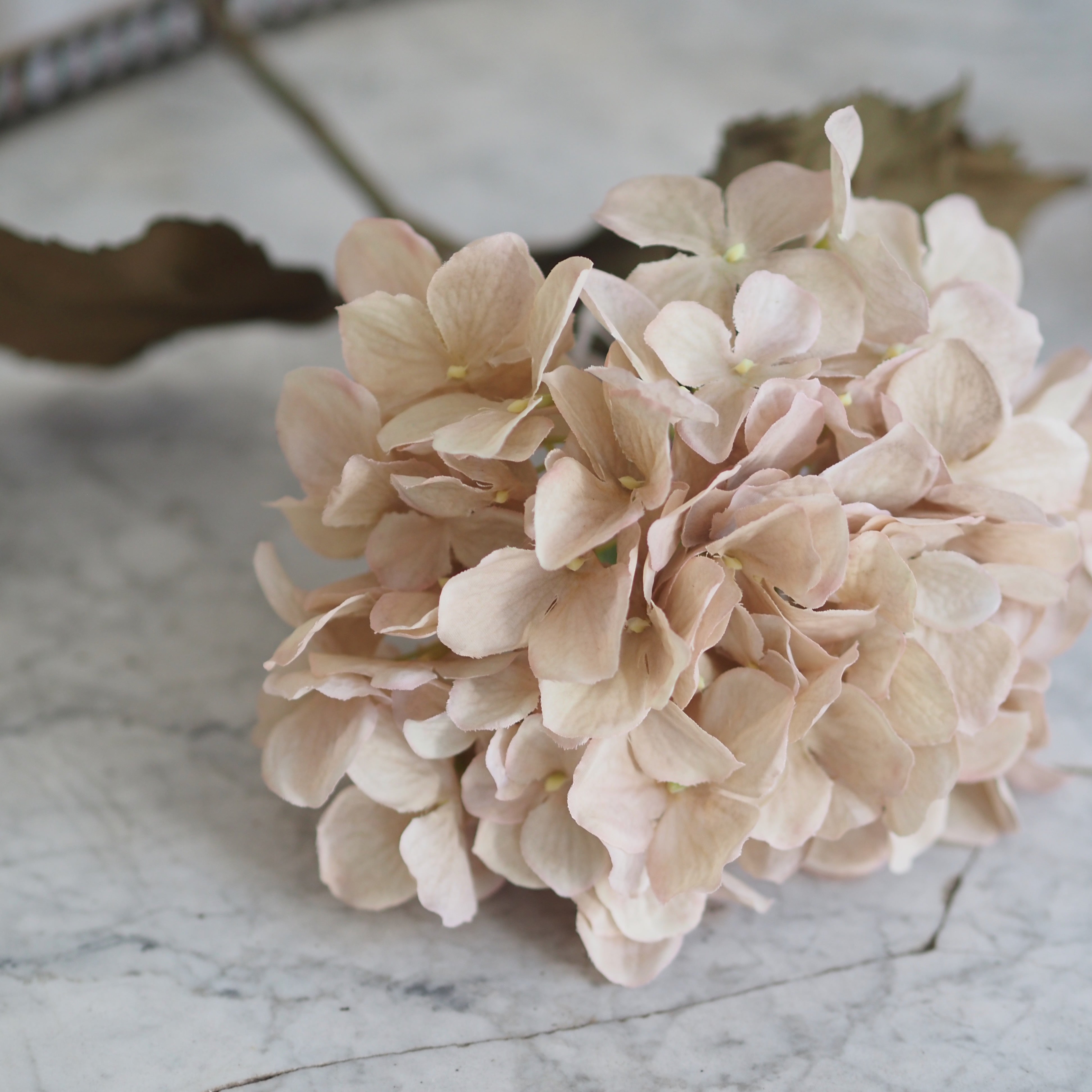 Dekozweig Hortensie · botanisch inspiriert / Floristikobjekt