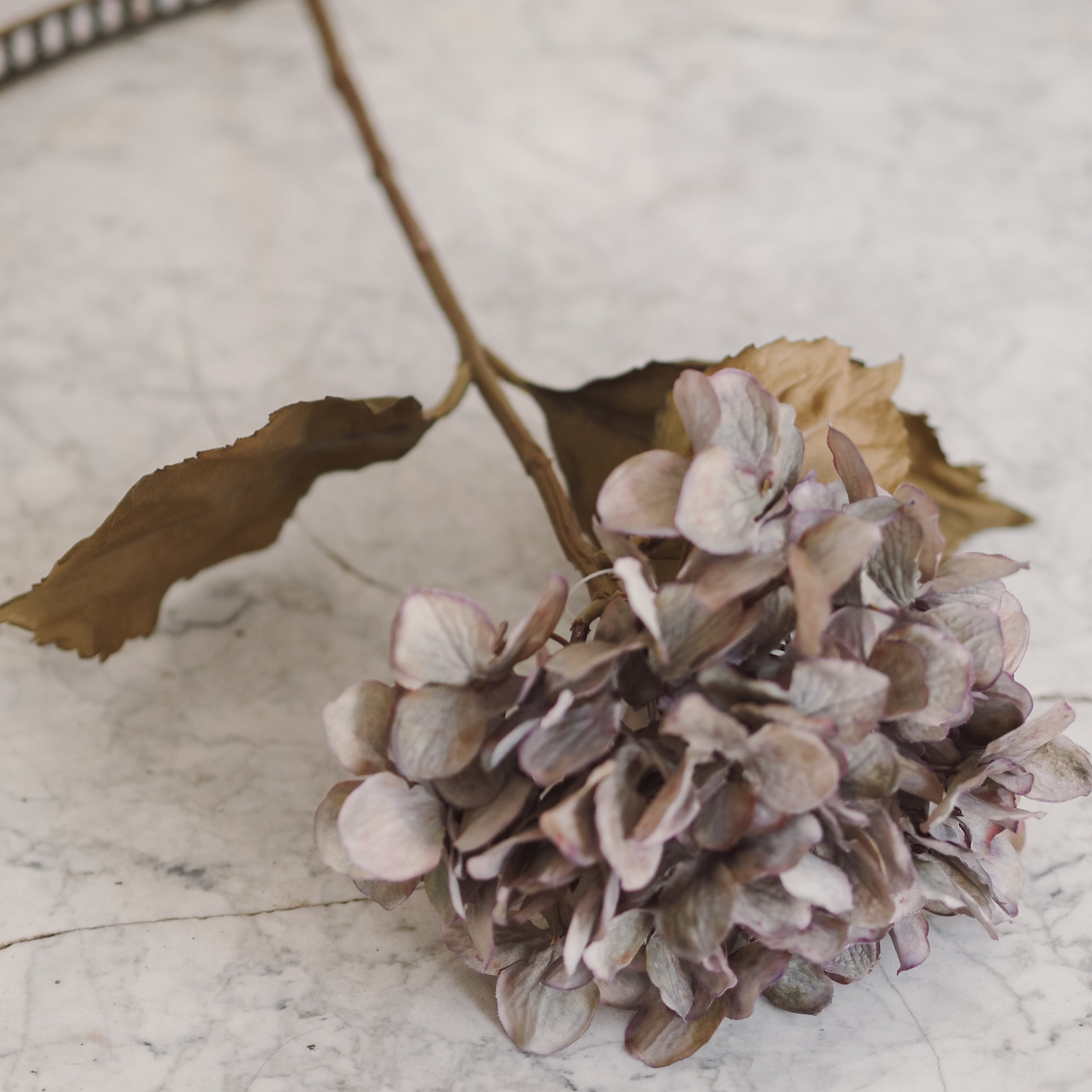 Dekozweig Hortensie · botanisch inspiriert / Floristikobjekt