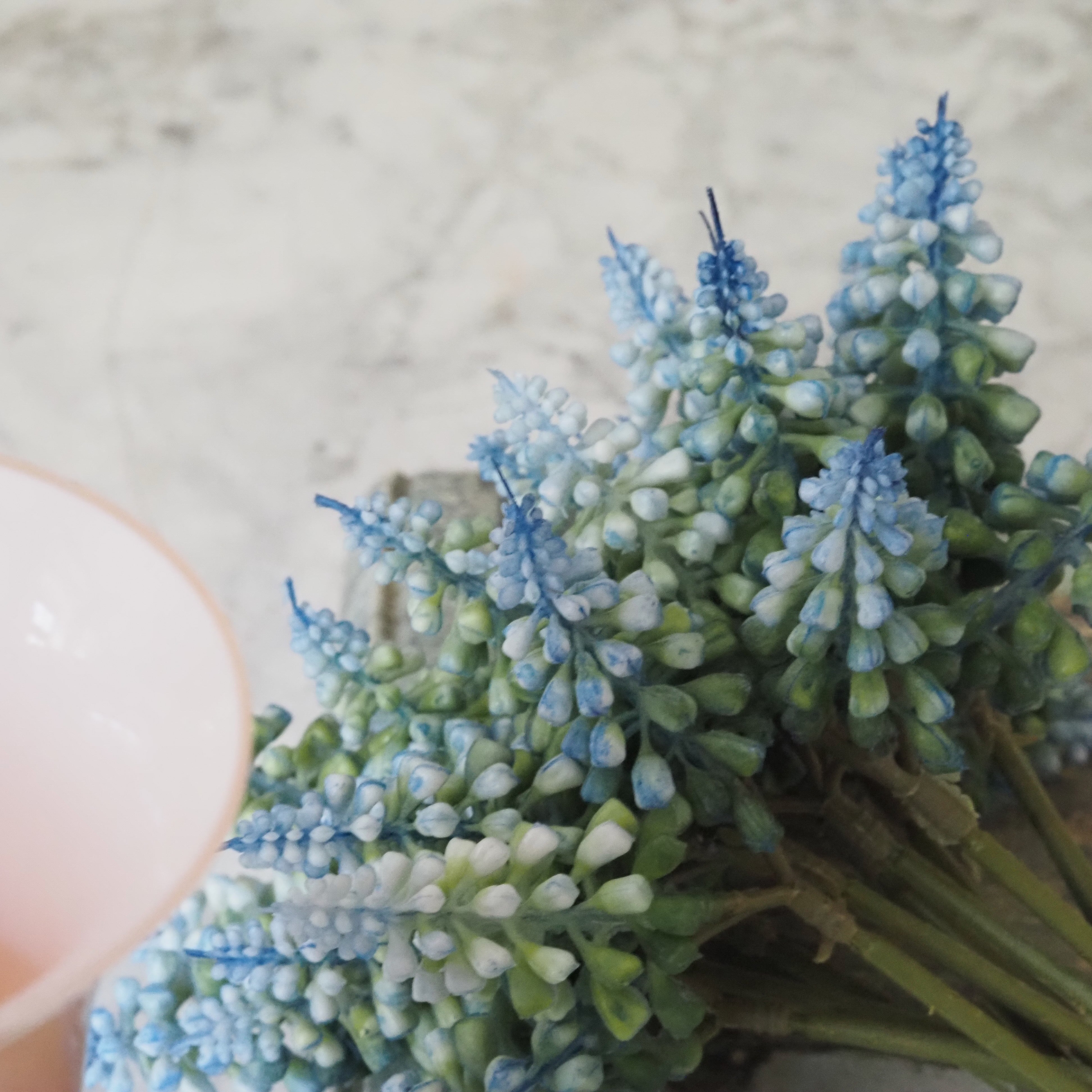 Muscari-Blütenbund · Frühlingszweig in Blau