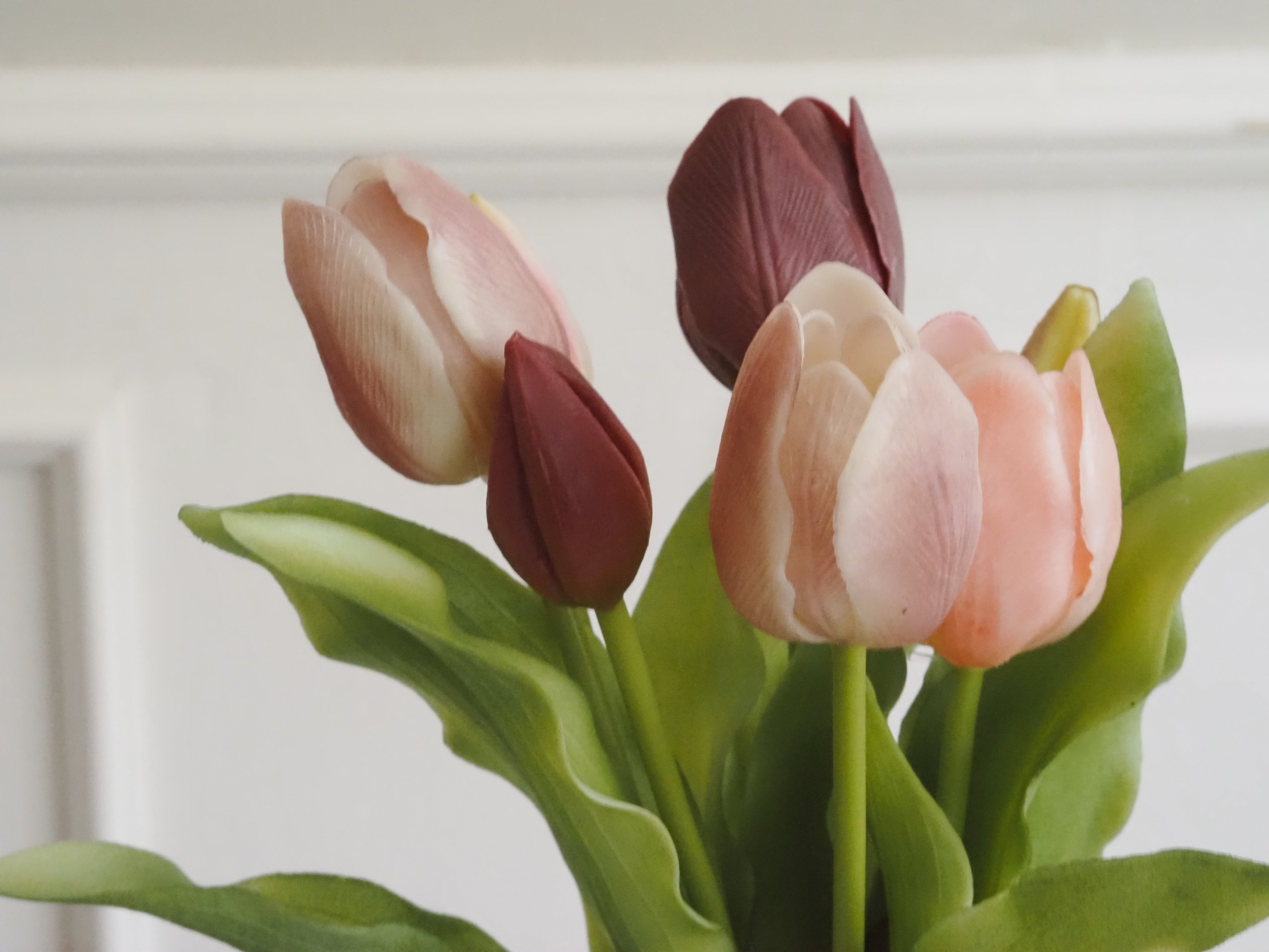 Tulpenbund · dekorativer Frühlingsblumenbund mit Schleife