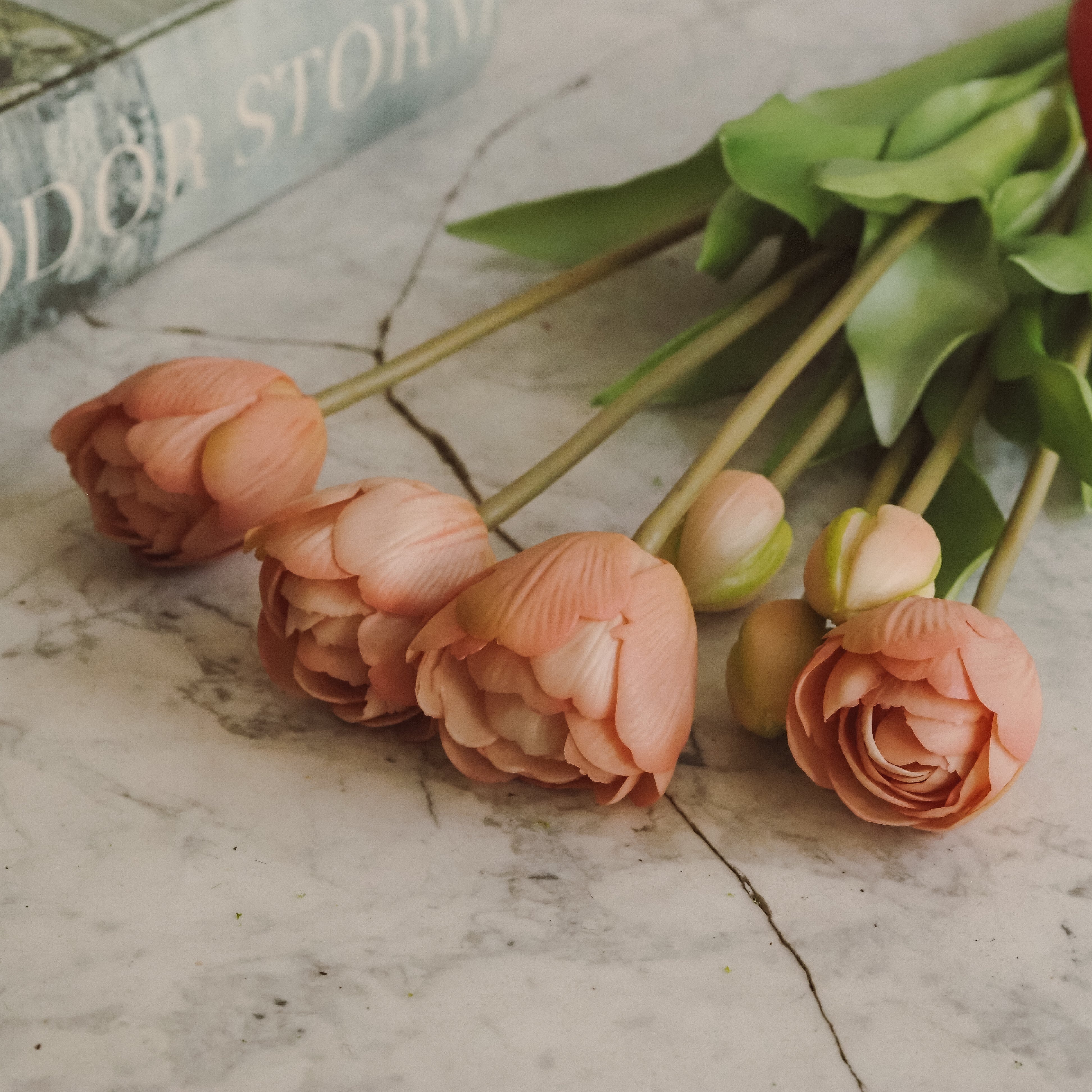 Tulpenbund Rosé · dekorativer Tulpenzweig im botanischen Stil
