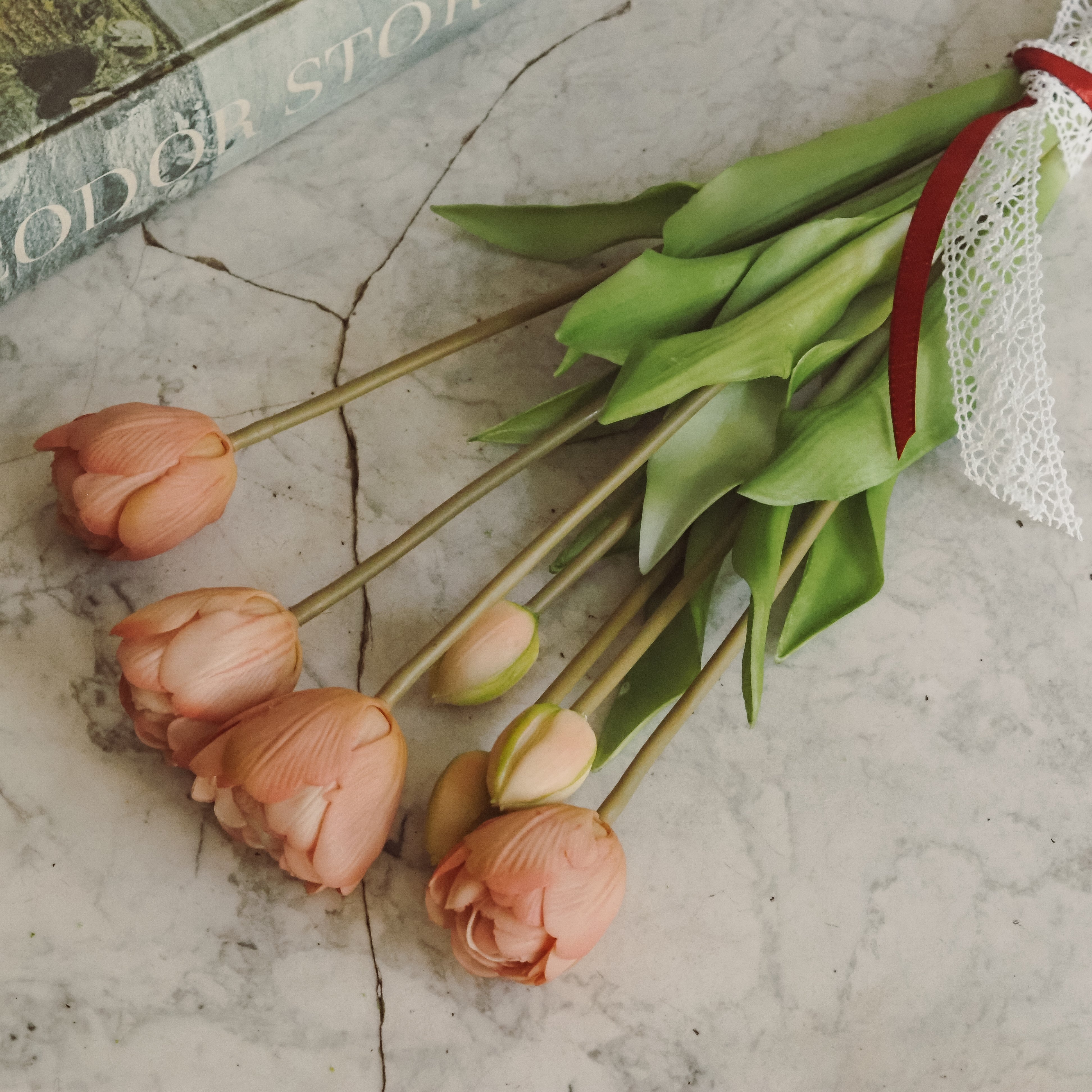 Tulpenbund Rosé · dekorativer Tulpenzweig im botanischen Stil