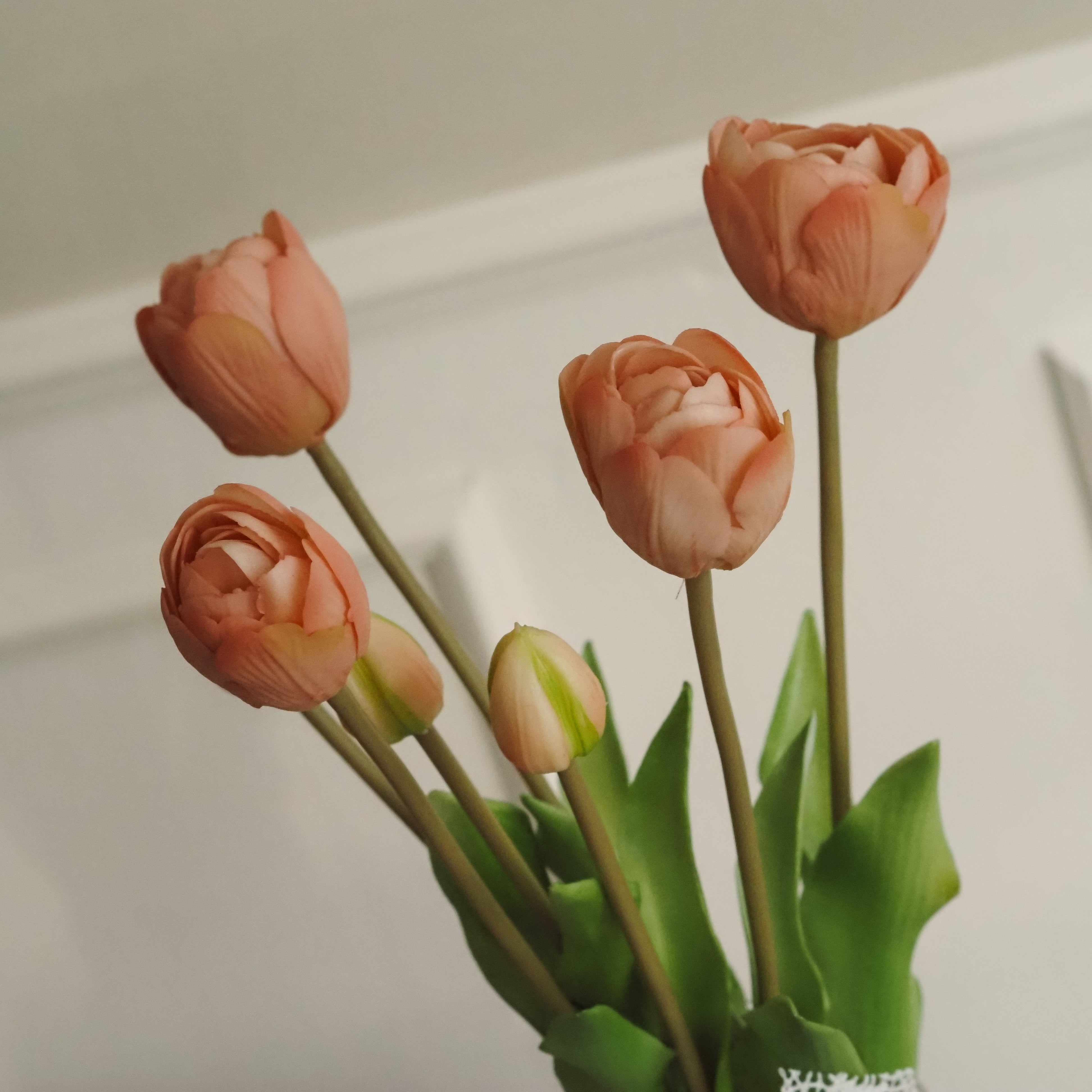Tulpenbund Rosé · dekorativer Tulpenzweig im botanischen Stil