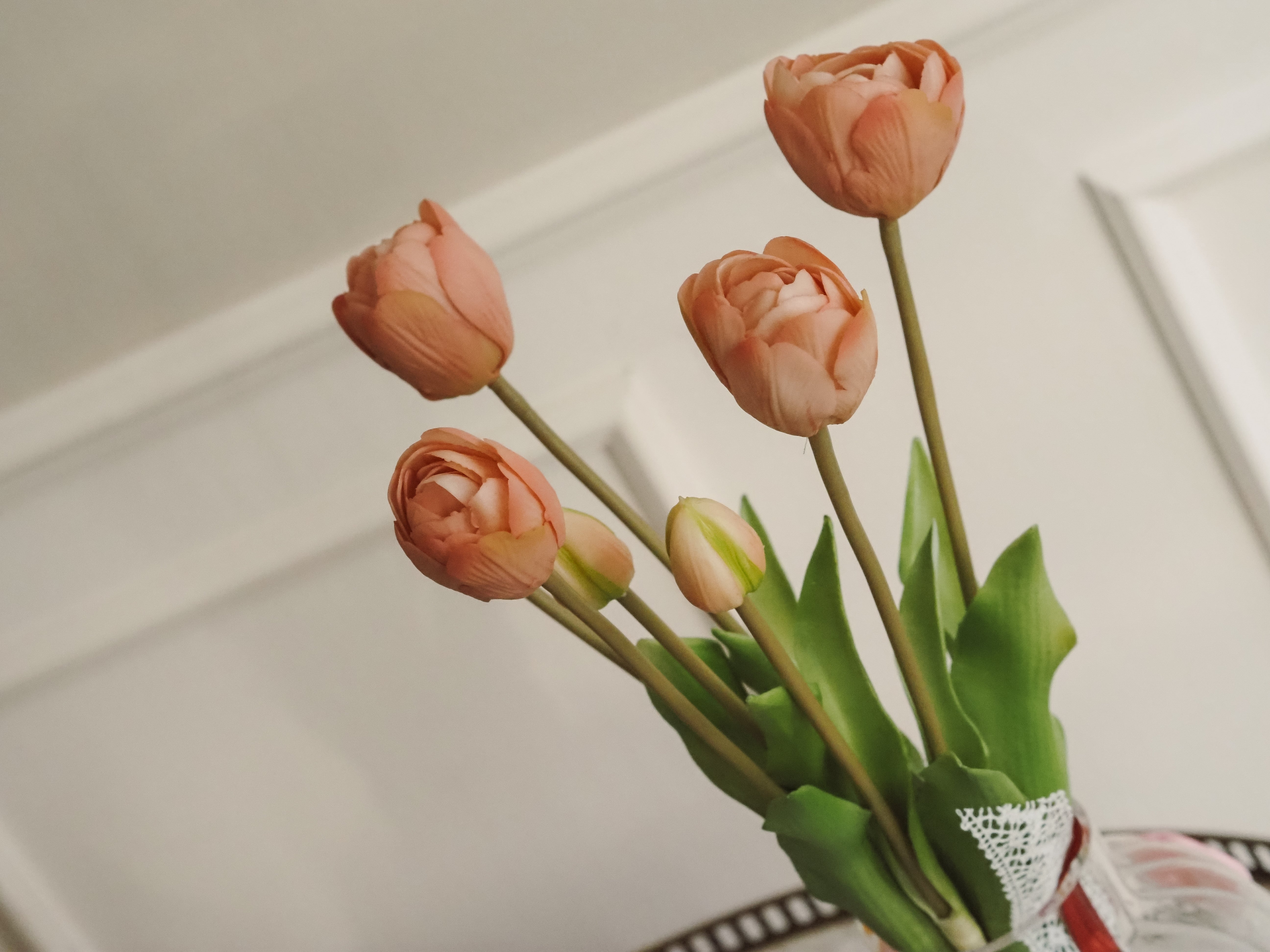 Tulpenbund Rosé · dekorativer Tulpenzweig im botanischen Stil
