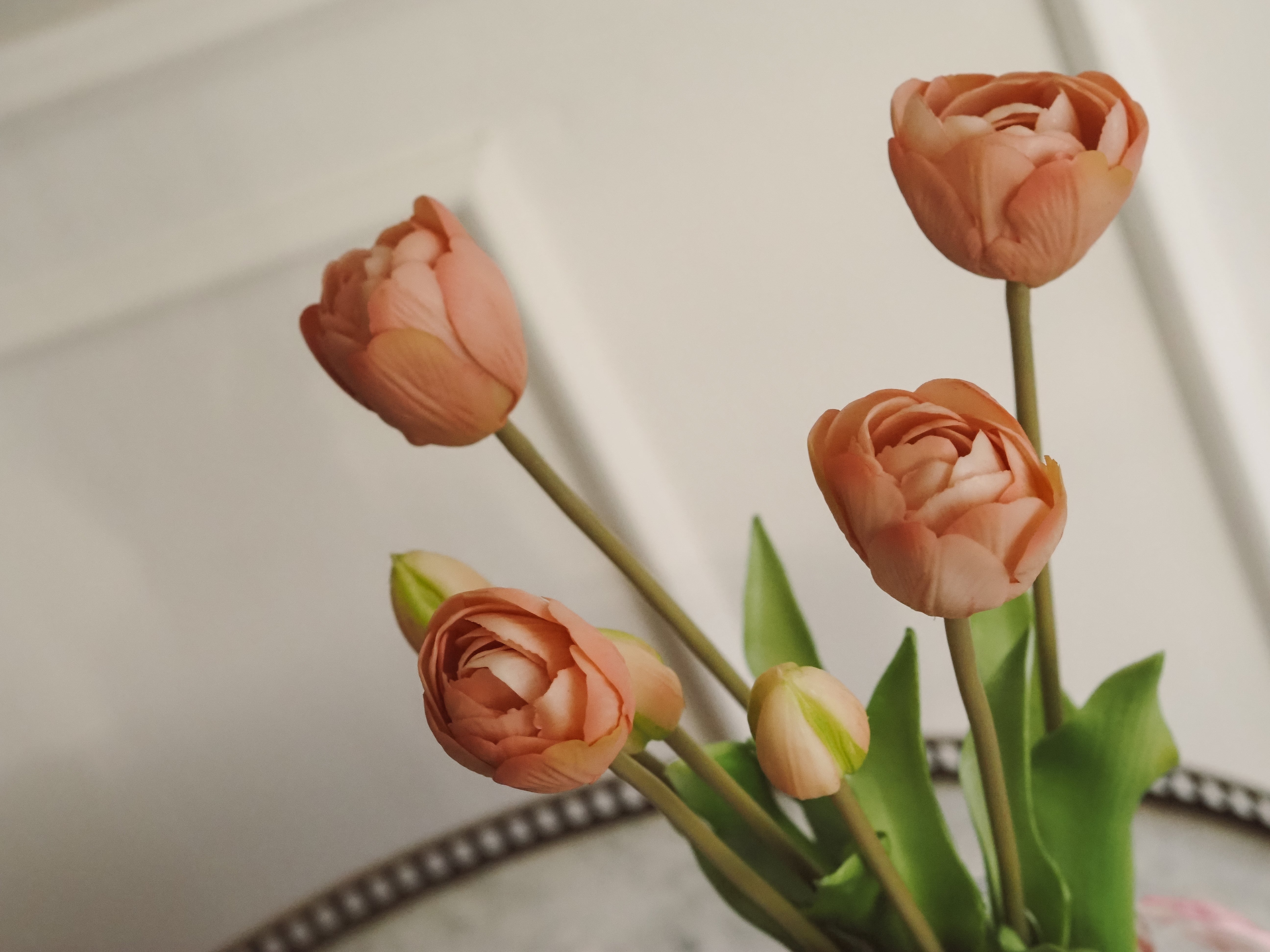 Tulpenbund Rosé · dekorativer Tulpenzweig im botanischen Stil