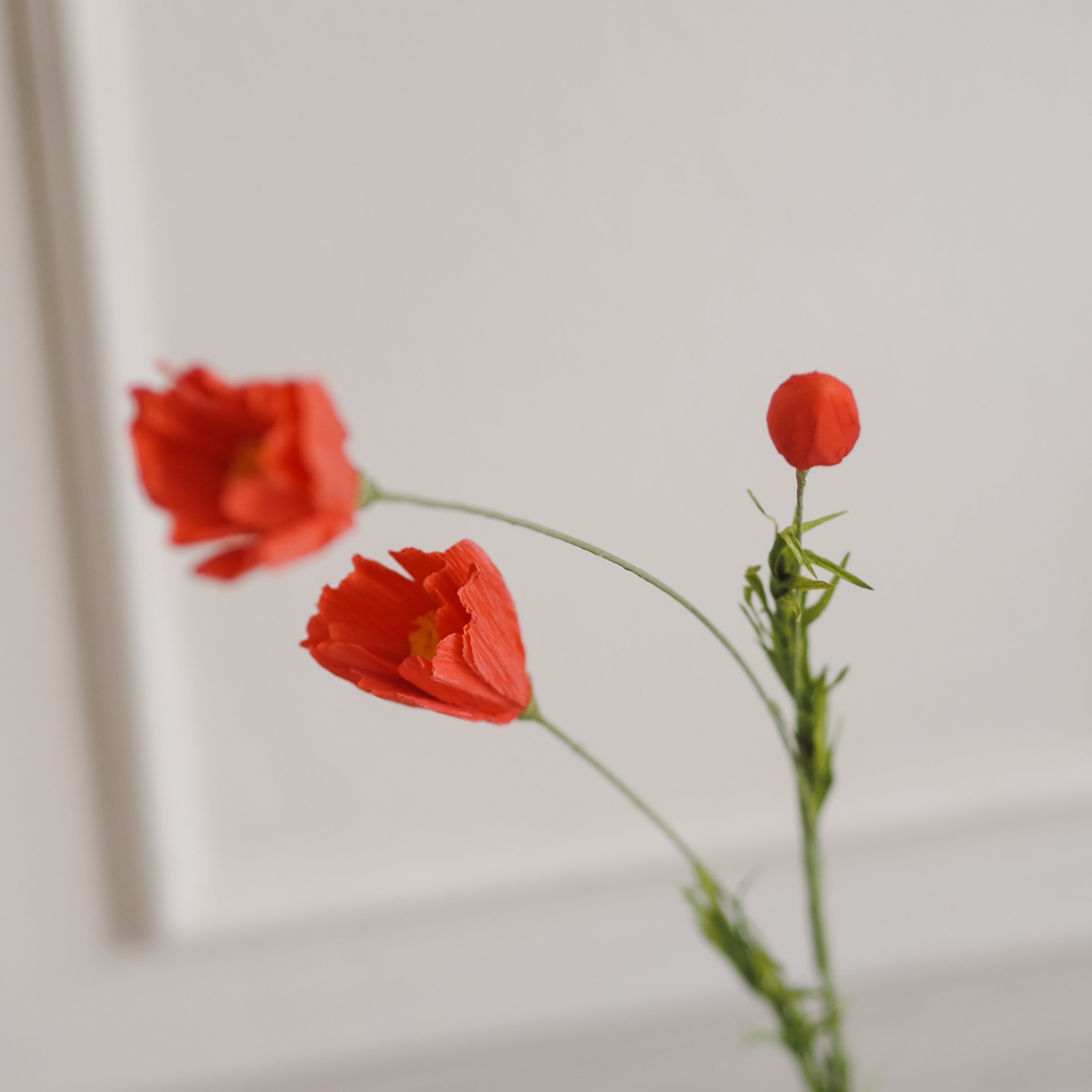 Papierblumen Zweig · Zierliche oder große Blüte