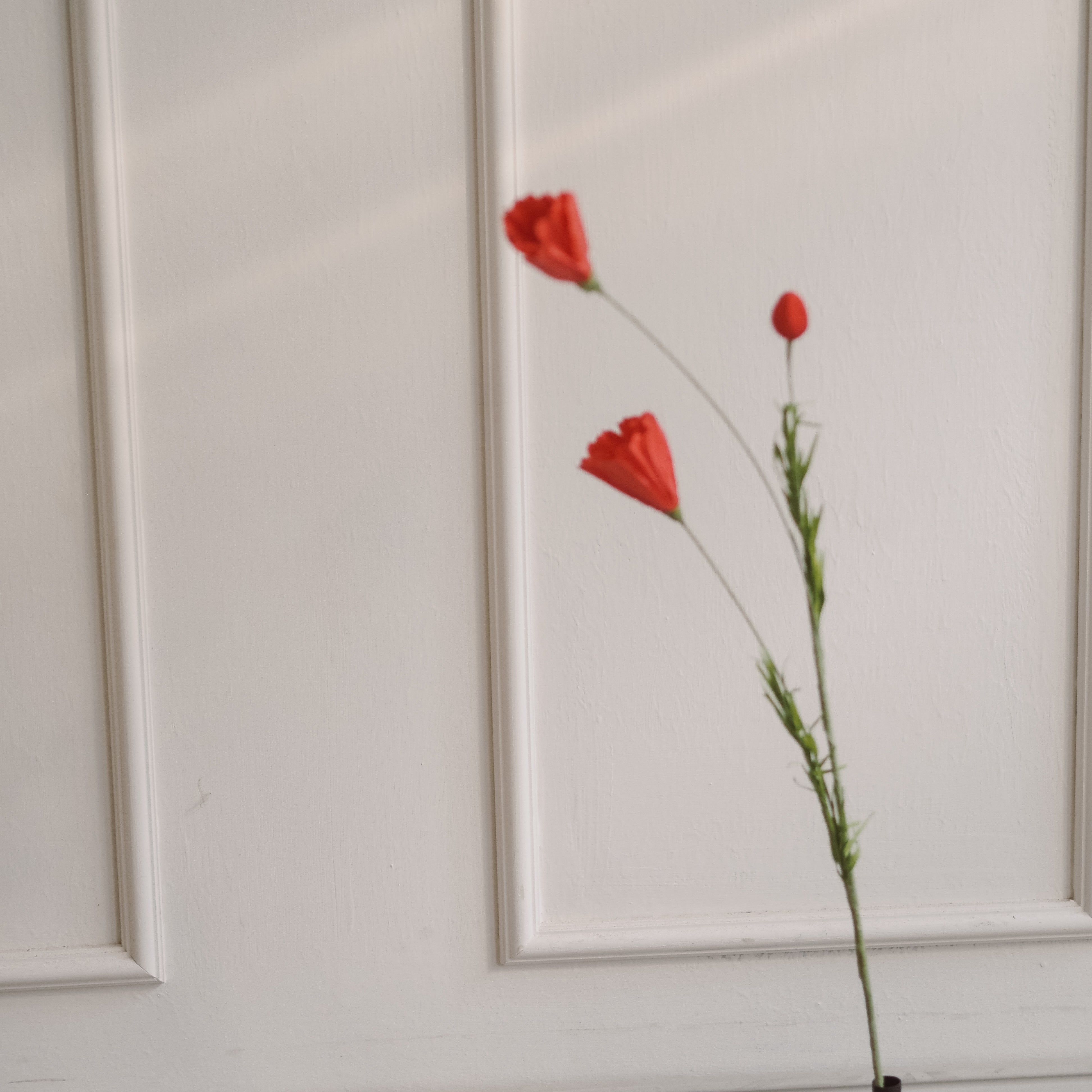 Papierblumen Zweig · Zierliche oder große Blüte