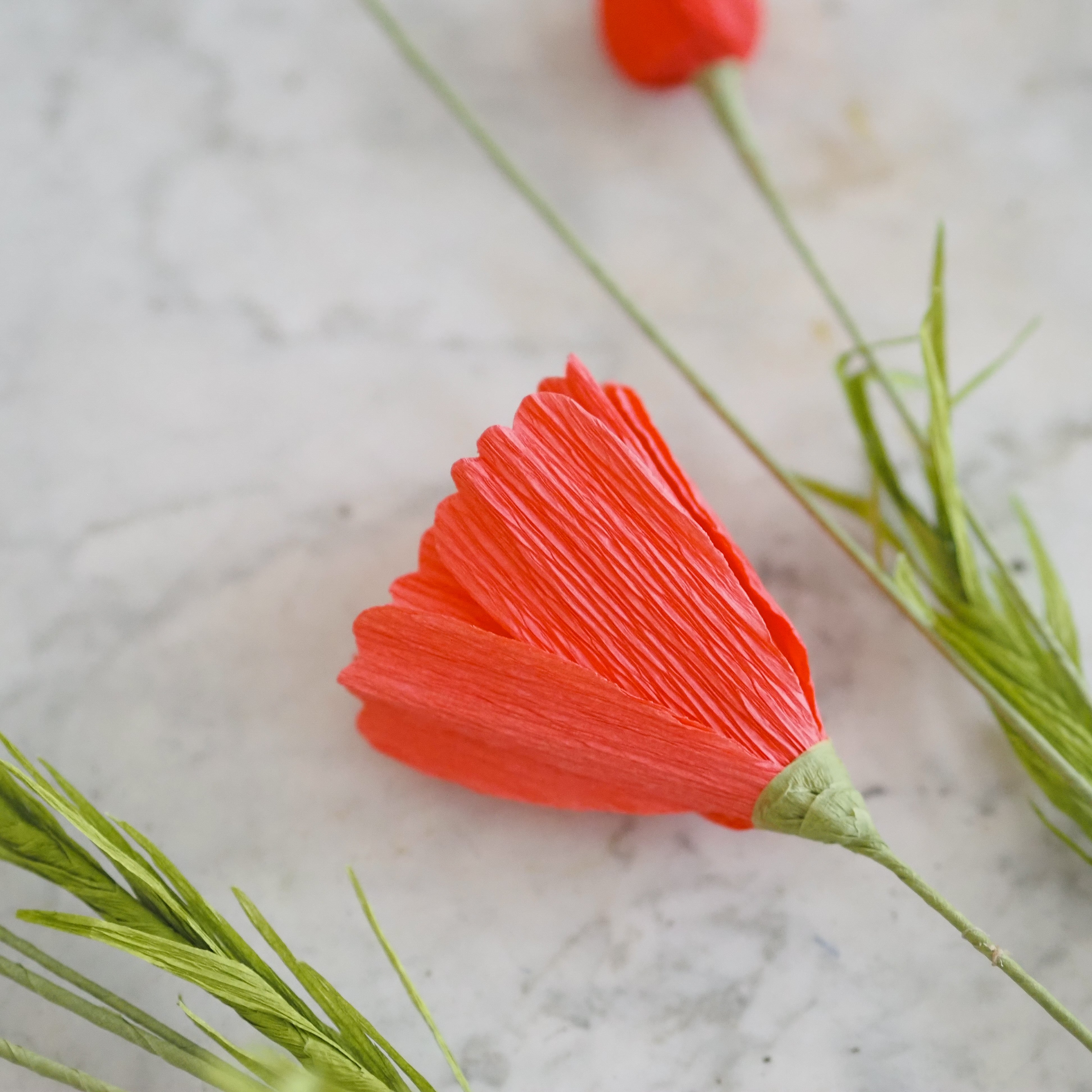 Papierblumen Zweig · Zierliche oder große Blüte
