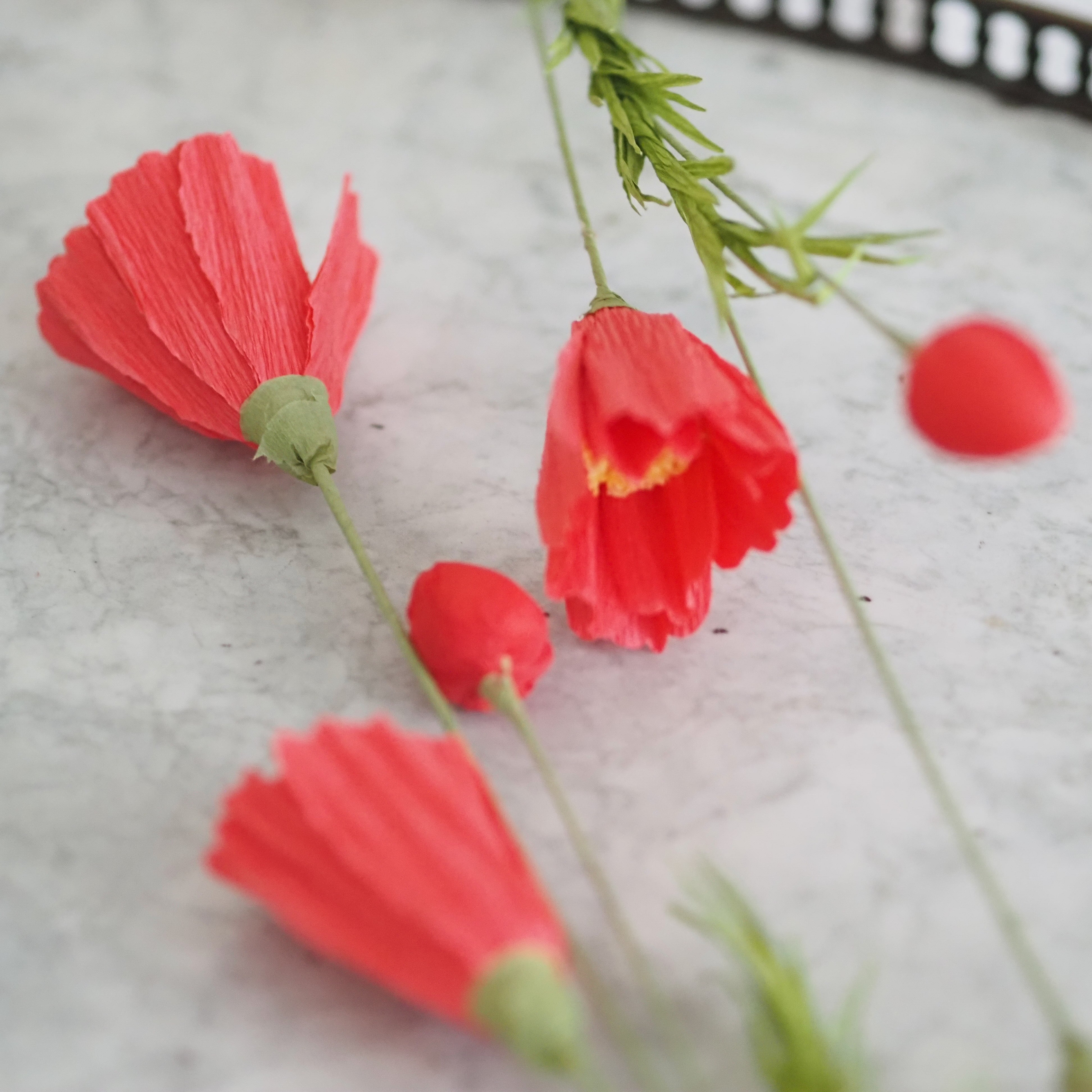 Papierblumen Zweig · Zierliche oder große Blüte