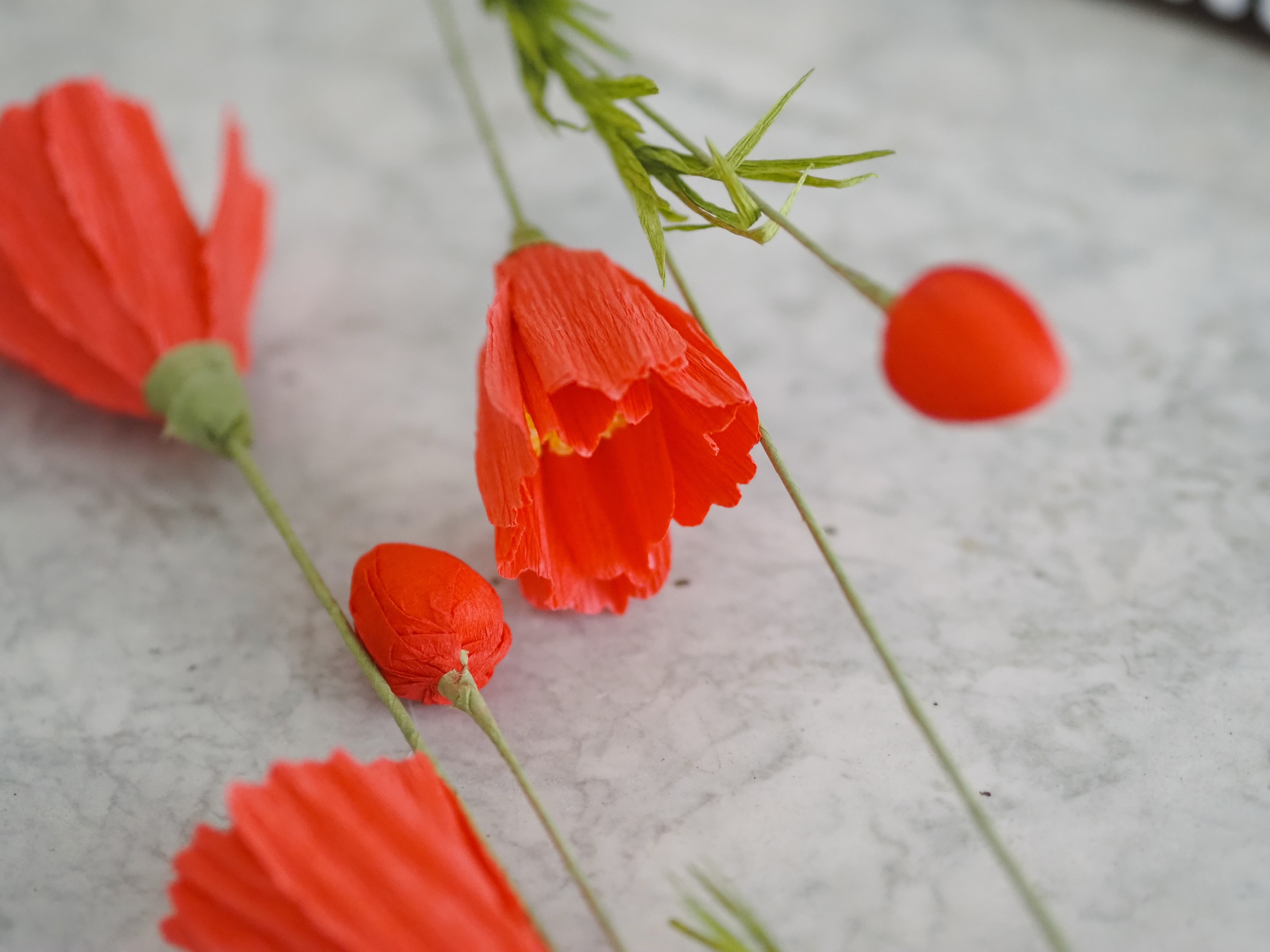Papierblumen Zweig · Zierliche oder große Blüte