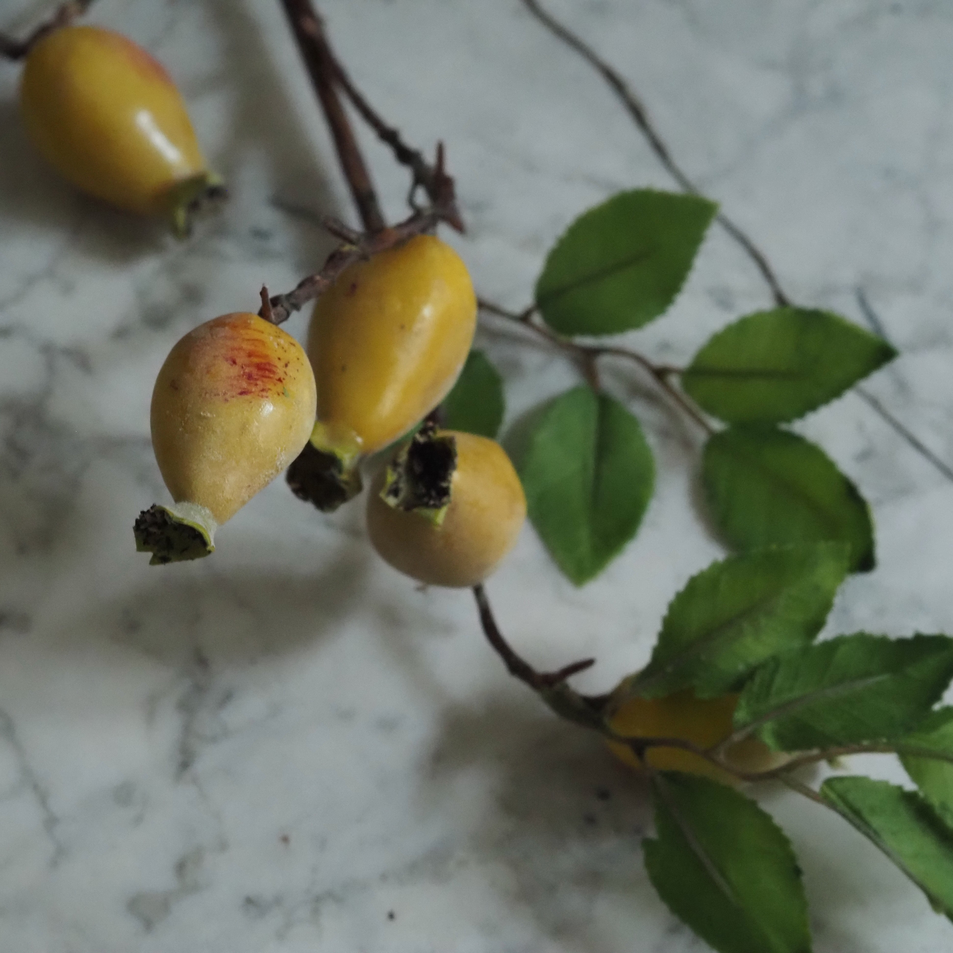 Dekorativer Hagebuttenzweig · botanisch inspirierter Dekozweig