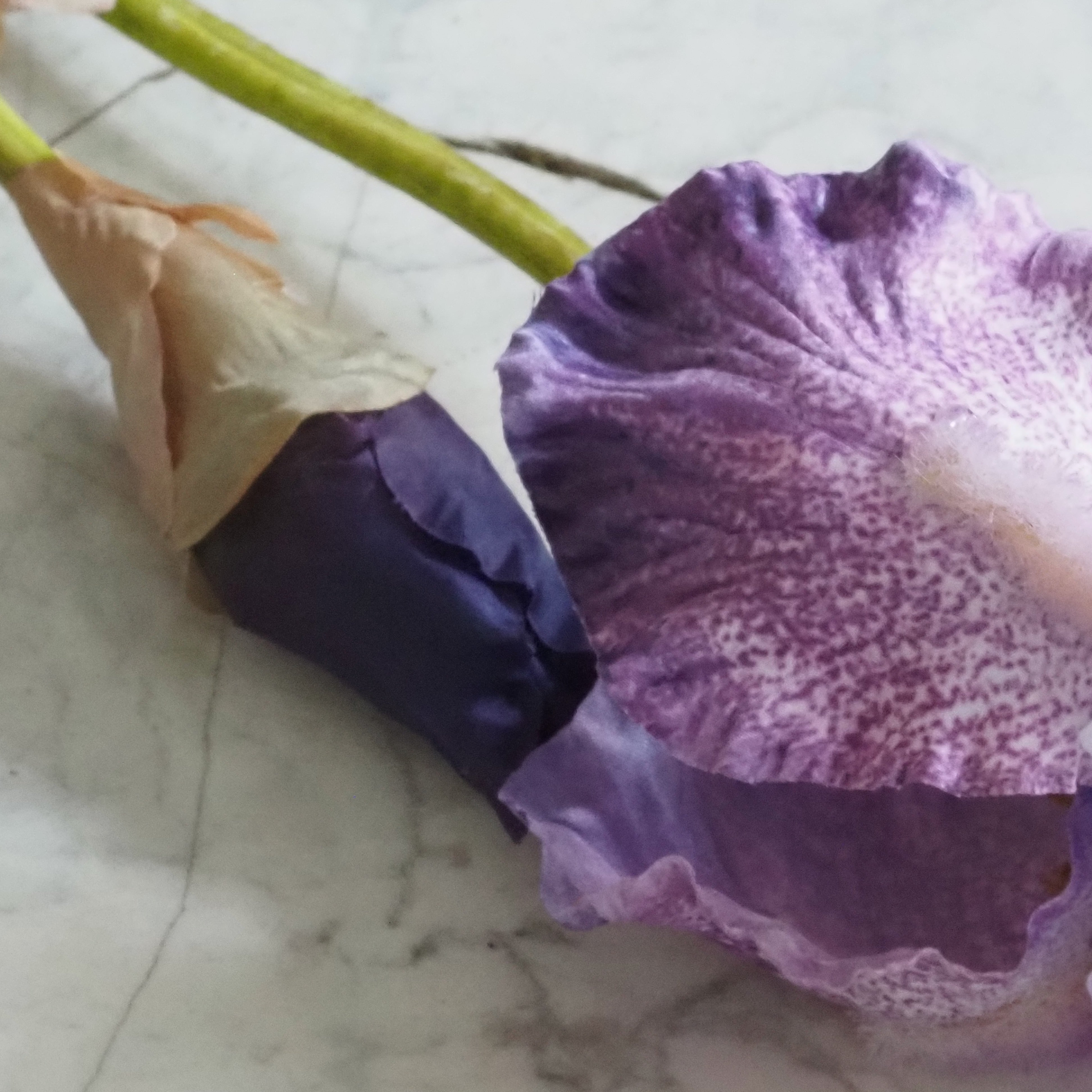 Iriszweig lila · dekorativer Floristikzweig im botanischen Stil