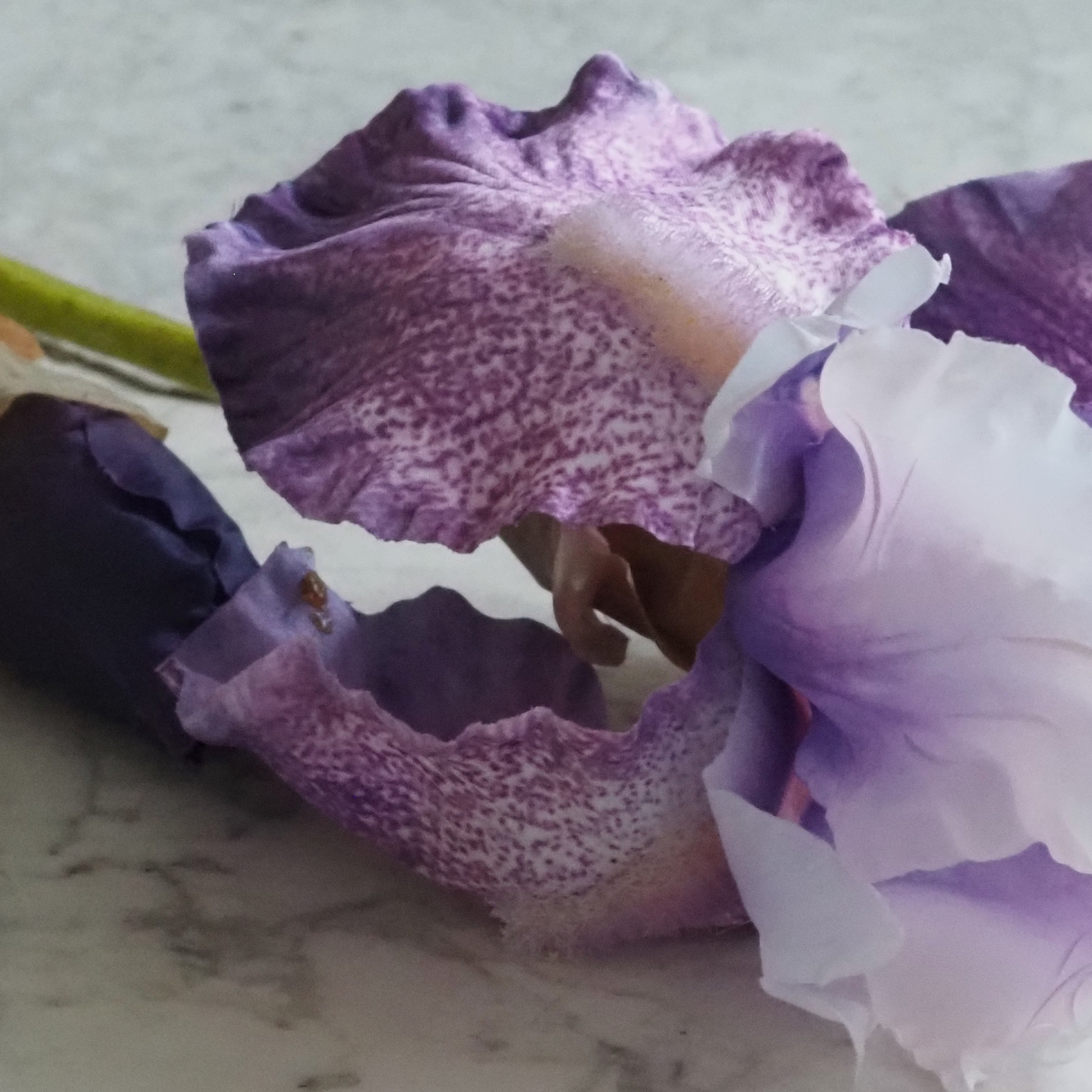 Iriszweig lila · dekorativer Floristikzweig im botanischen Stil