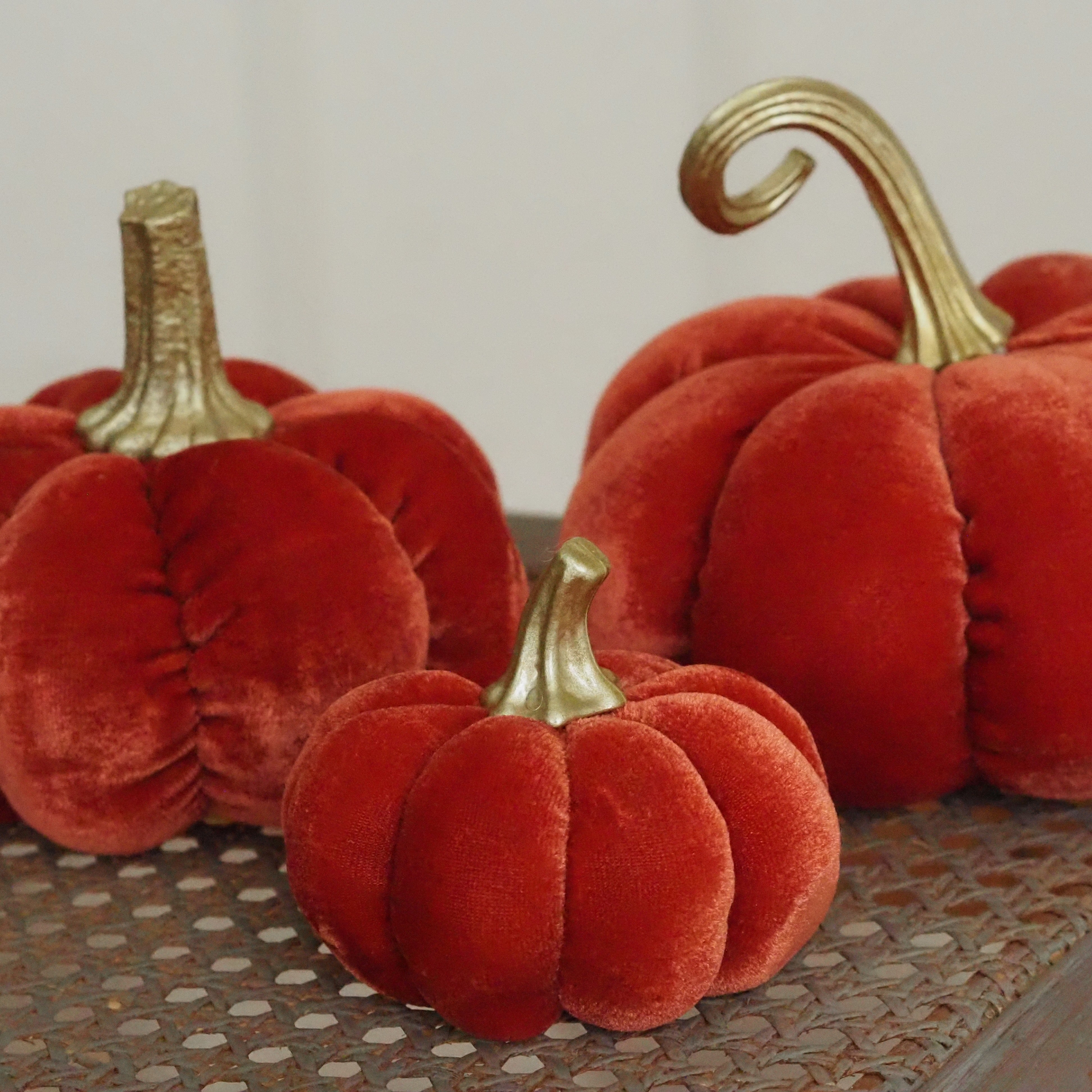 Samtkürbis Orange · Dekokürbis für die Herbstdekoration