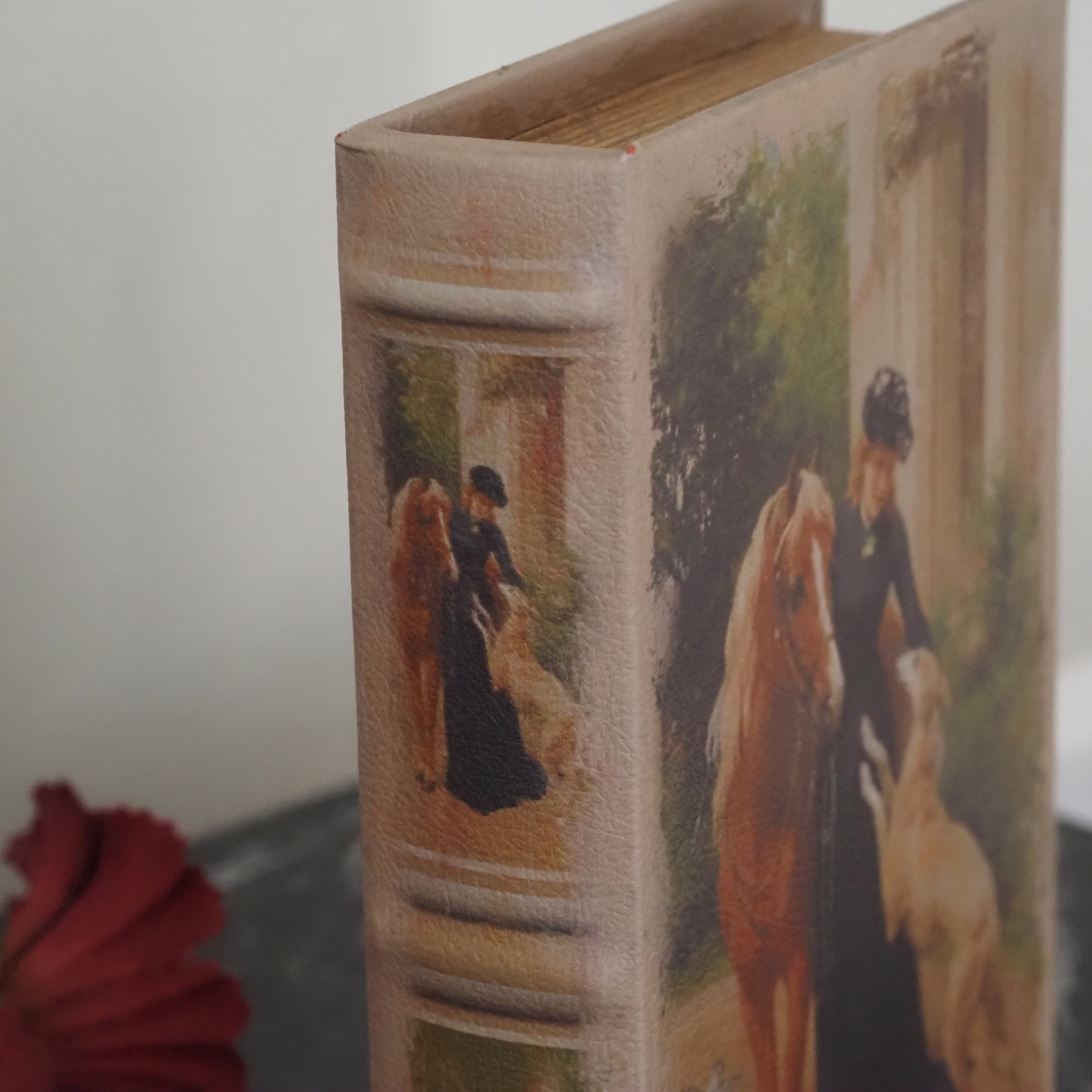 Aufbewahrungsbuch Dame 20 cm braun · dekorative Buchbox mit historischem Motiv