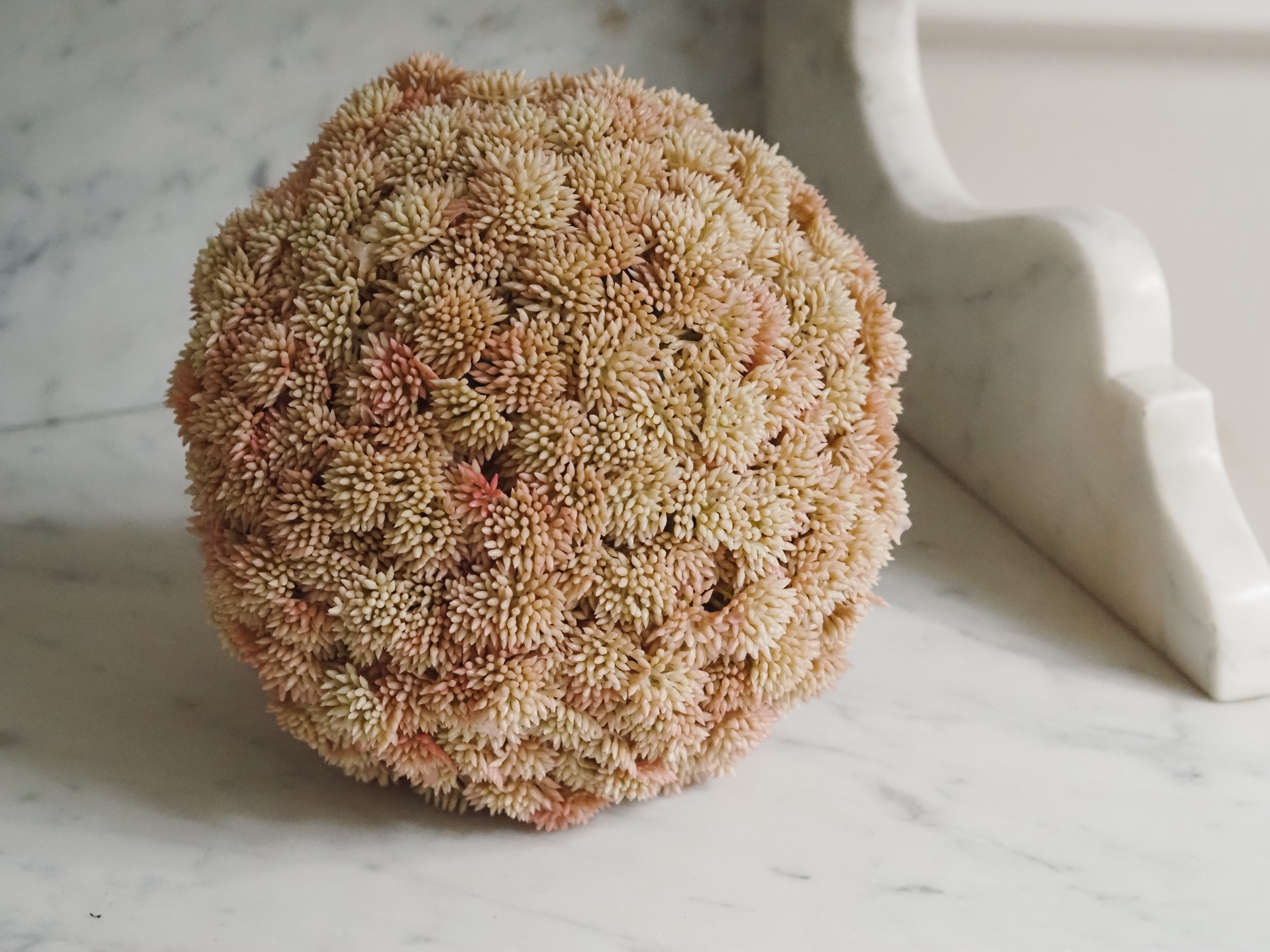 Sedumball · Botanische Dekoration Apricot
