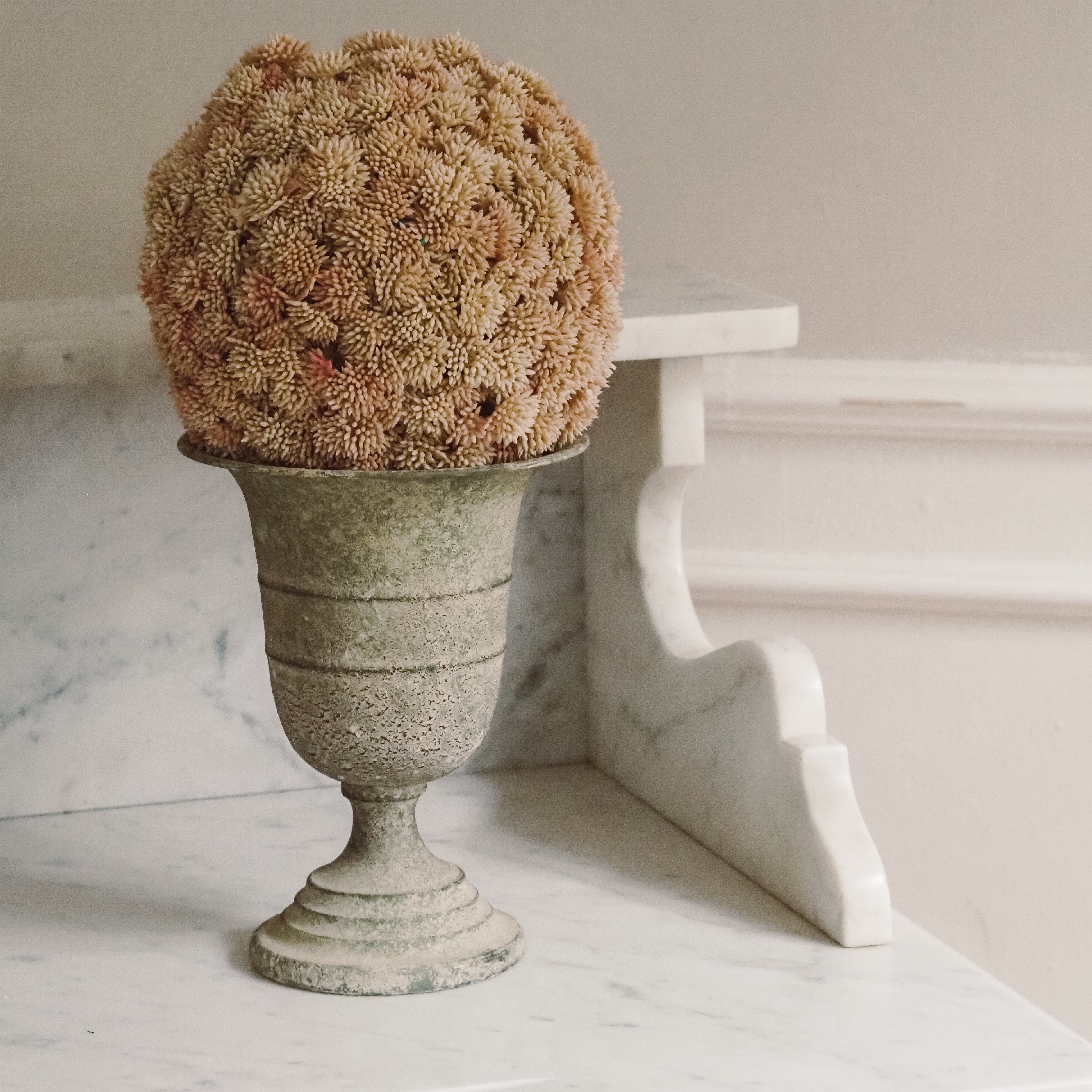 Sedumball · Botanische Dekoration Apricot
