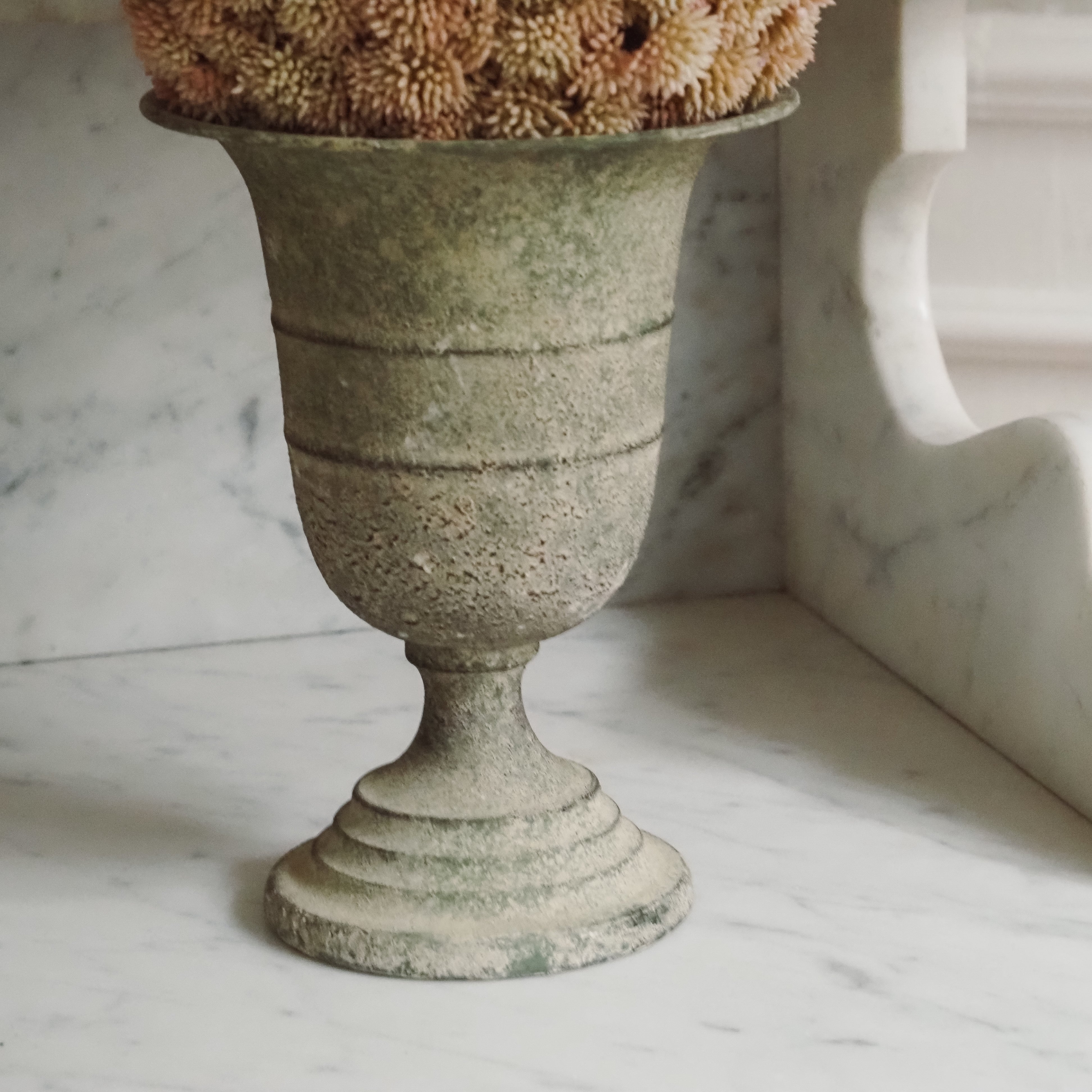 Sedumball · Botanische Dekoration Apricot