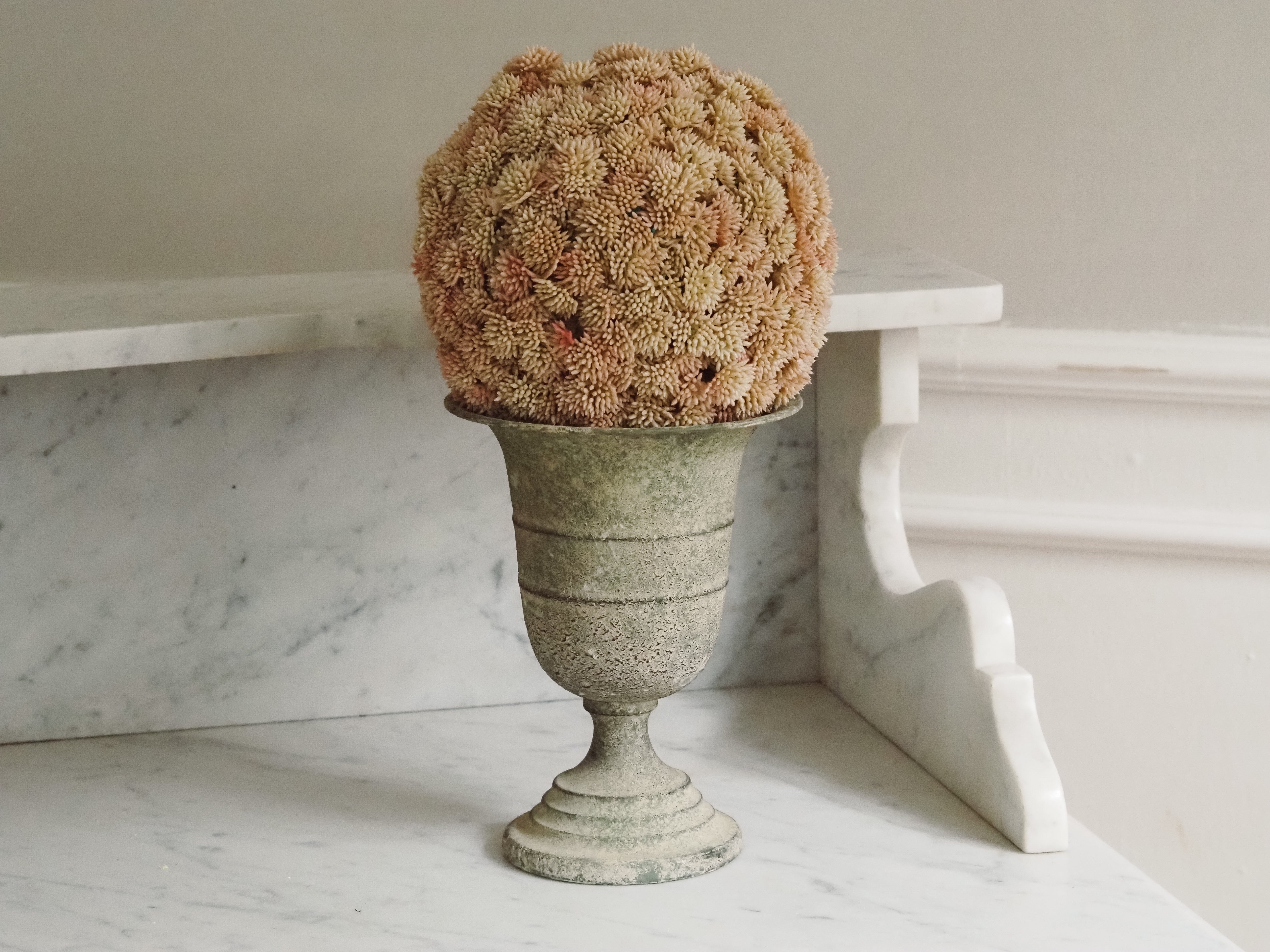 Sedumball · Botanische Dekoration Apricot