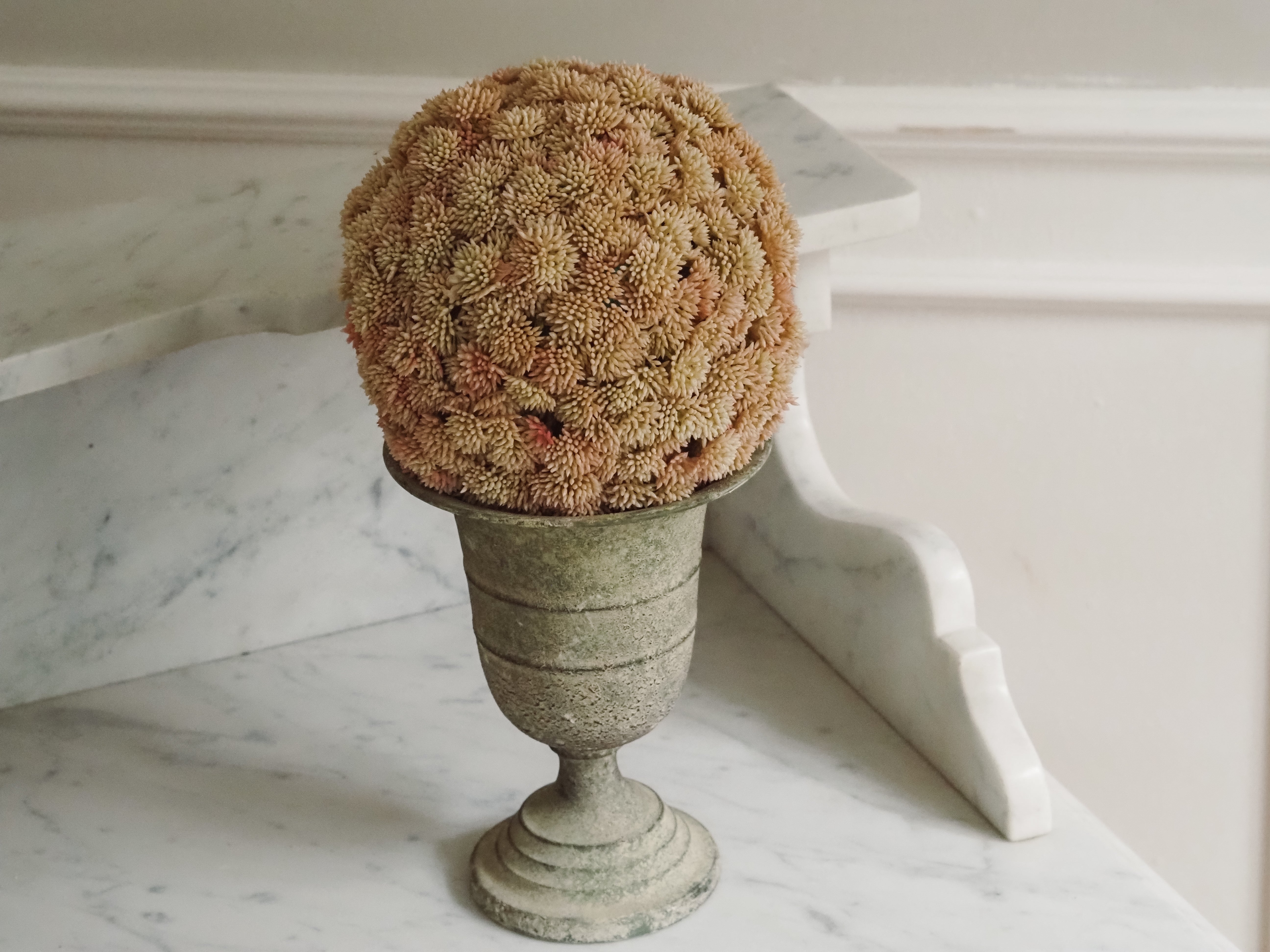 Sedumball · Botanische Dekoration Apricot
