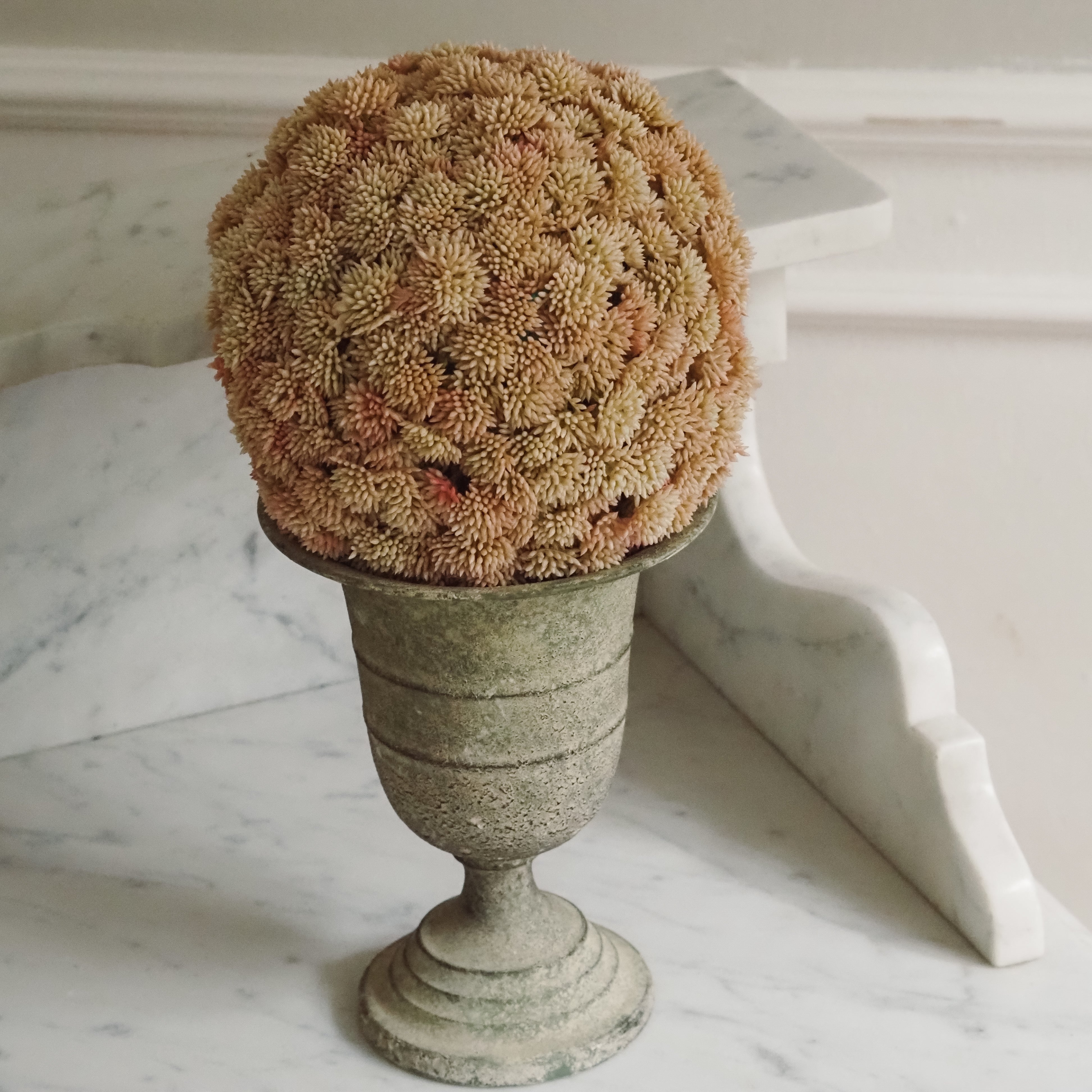 Sedumball · Botanische Dekoration Apricot