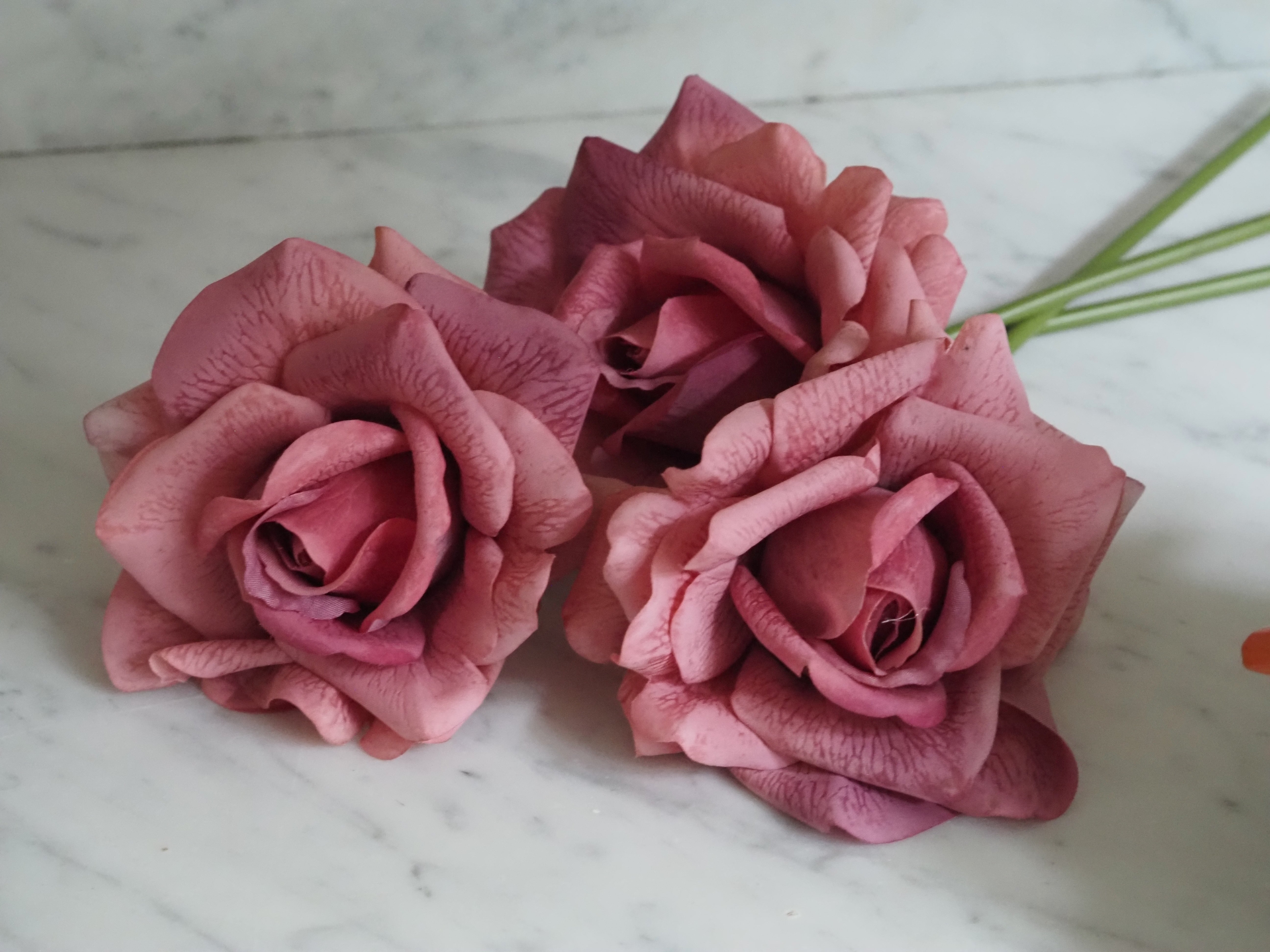 Rosenbund Altrosa · dekorativer Blütenzweig mit drei Rosen