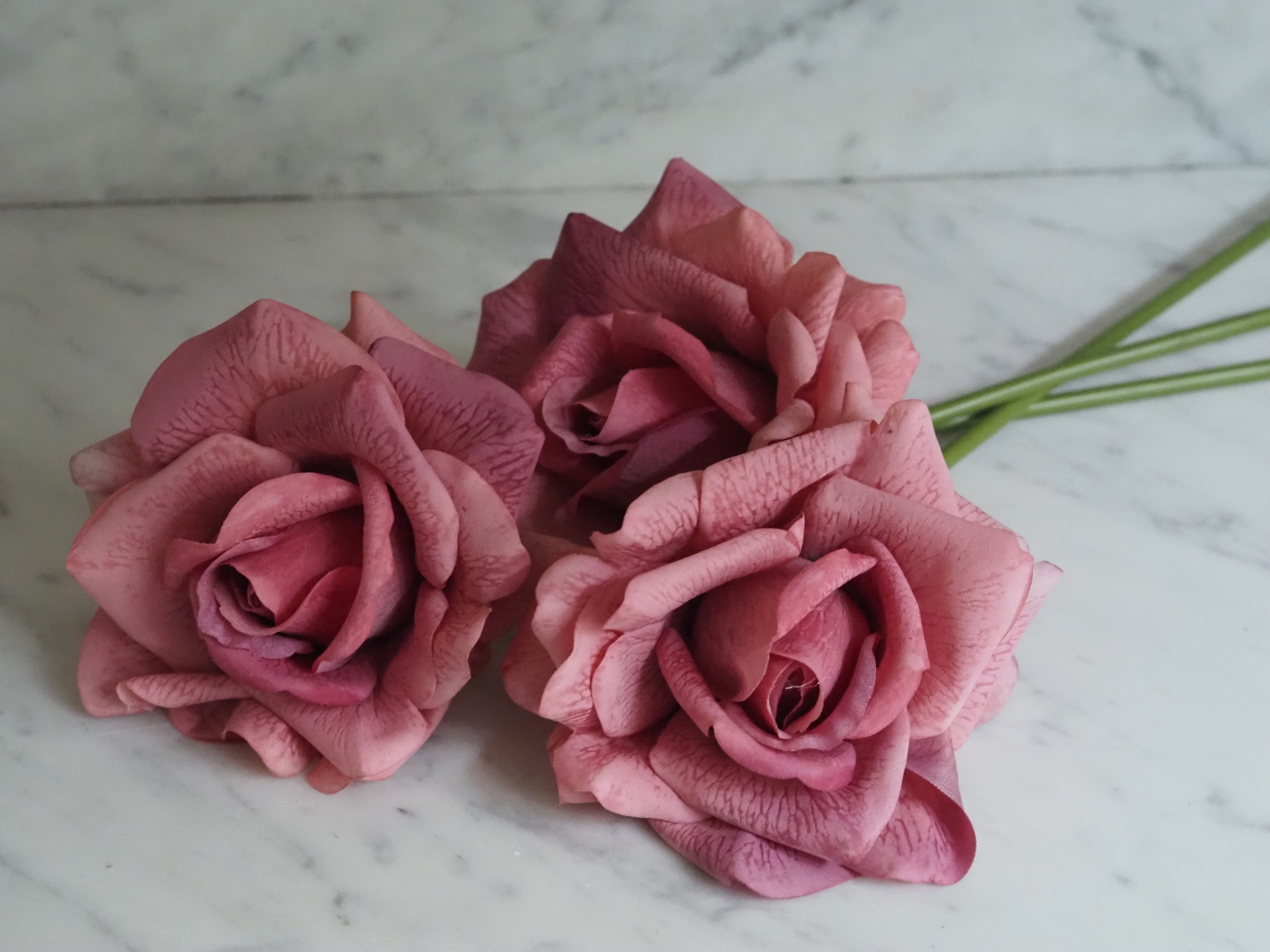 Rosenbund Altrosa · dekorativer Blütenzweig mit drei Rosen