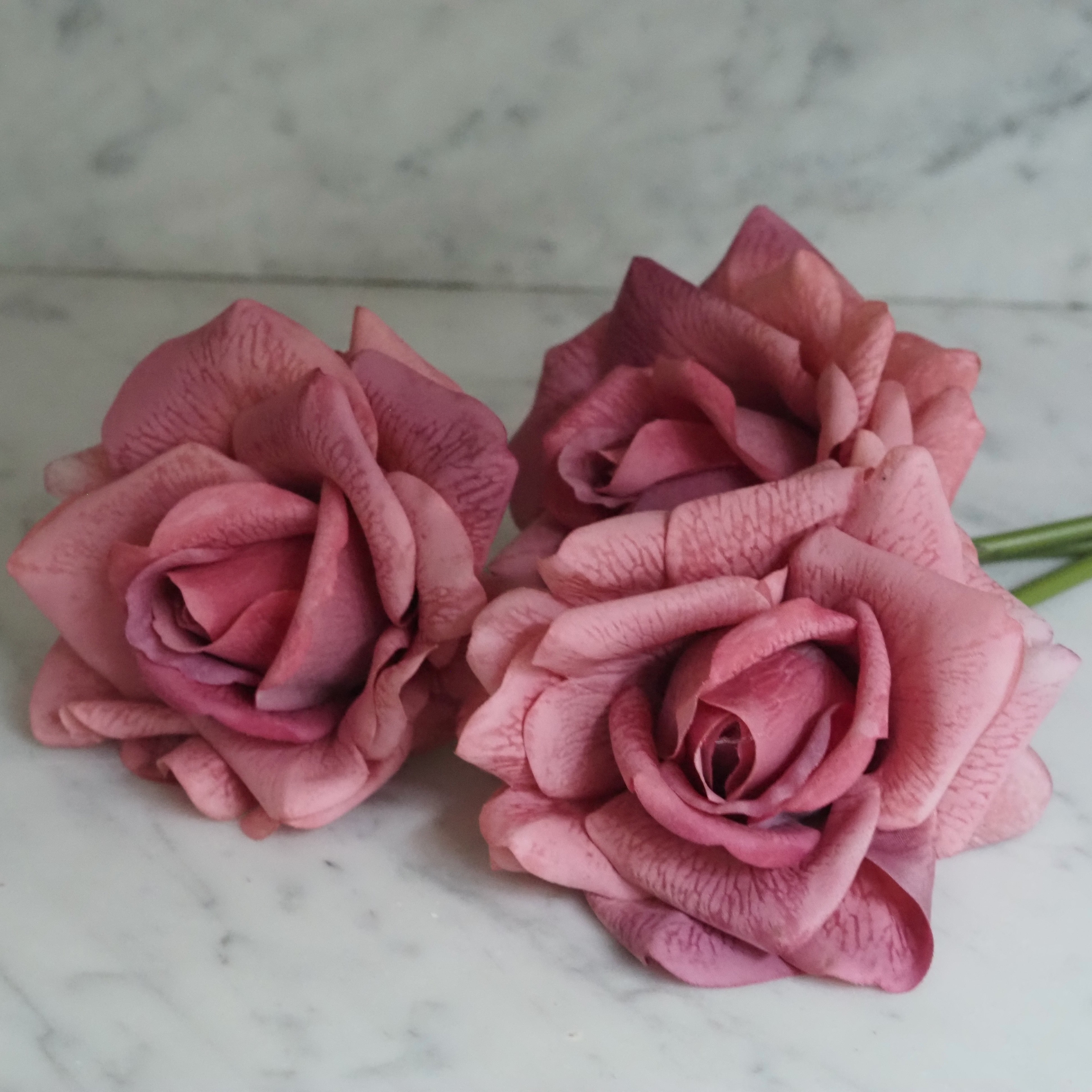 Rosenbund Altrosa · dekorativer Blütenzweig mit drei Rosen