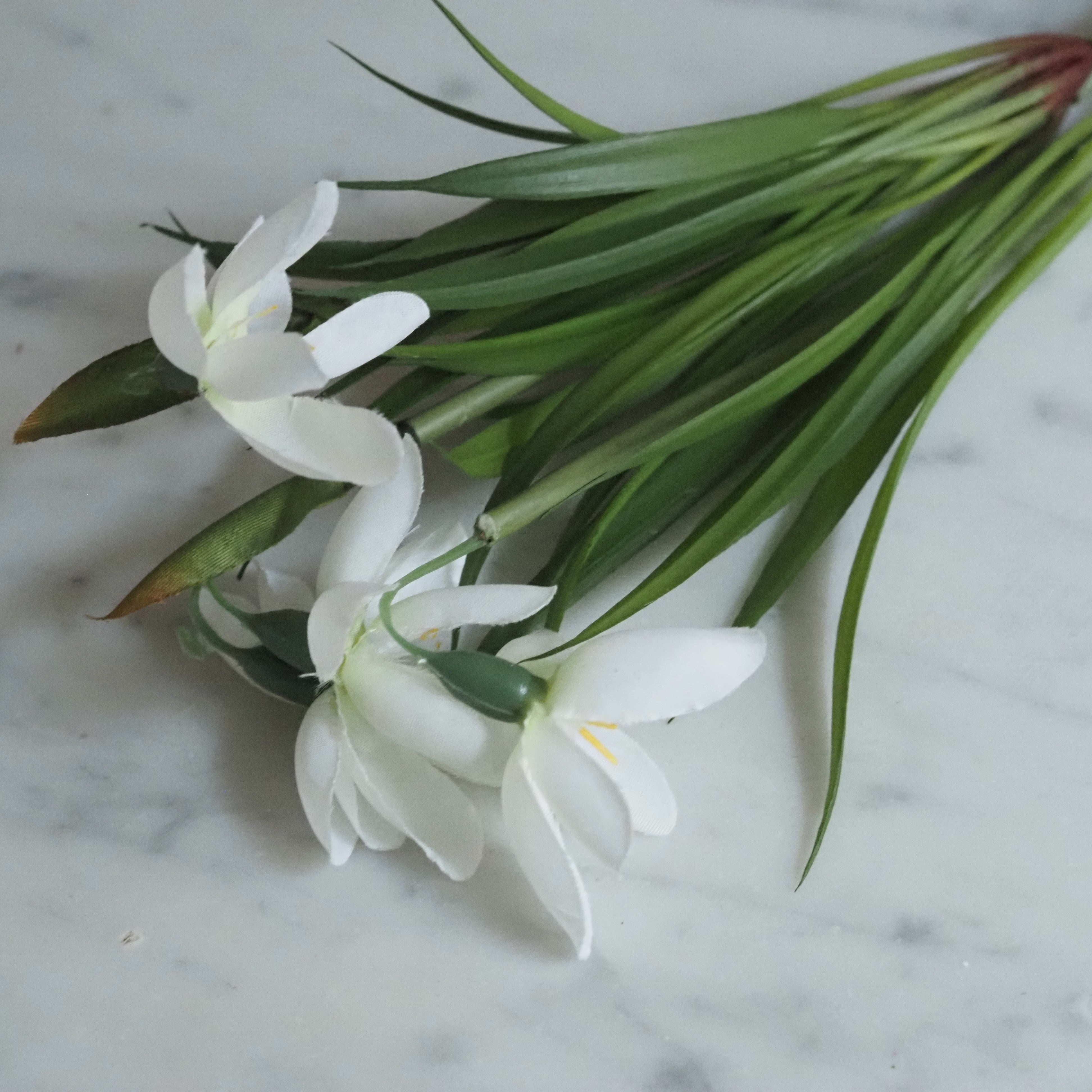 Schneeglöckchen Zweig Set · Frühlingsdekoration für Glasgefäße