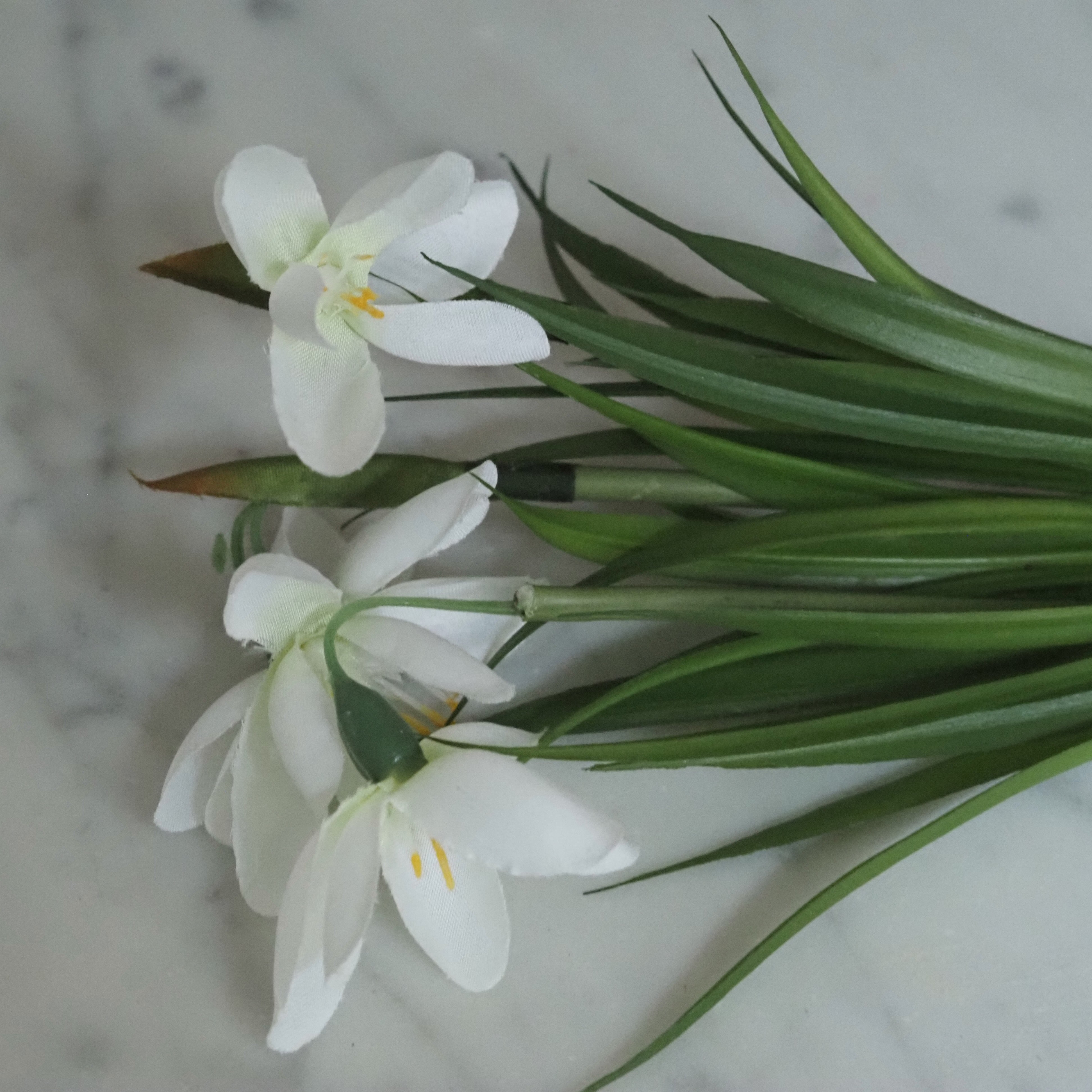 Schneeglöckchen Zweig Set · Frühlingsdekoration für Glasgefäße