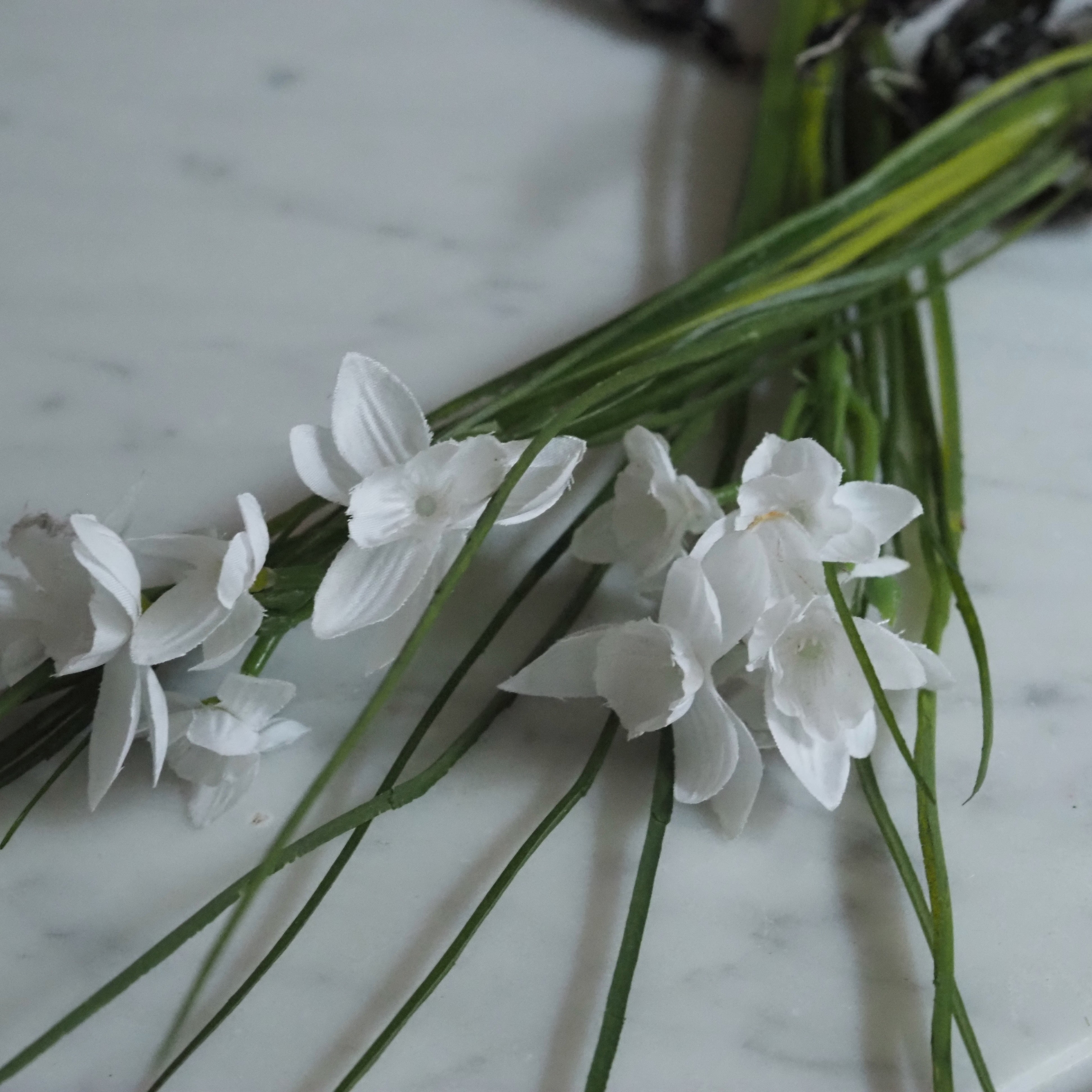 Schneeglöckchen Zweig Set · Frühlingsdekoration für Glasgefäße