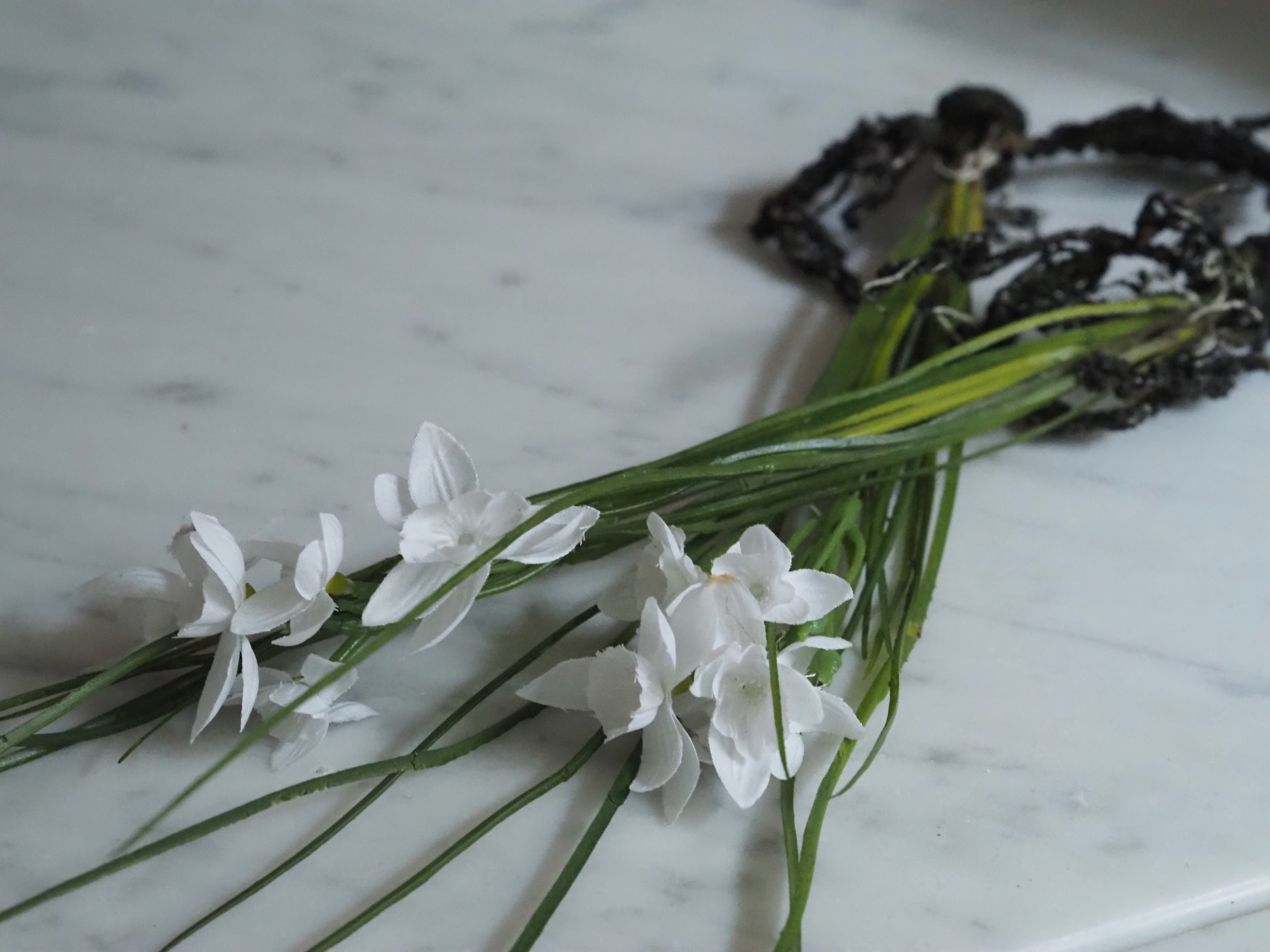 Schneeglöckchen Zweig Set · Frühlingsdekoration für Glasgefäße