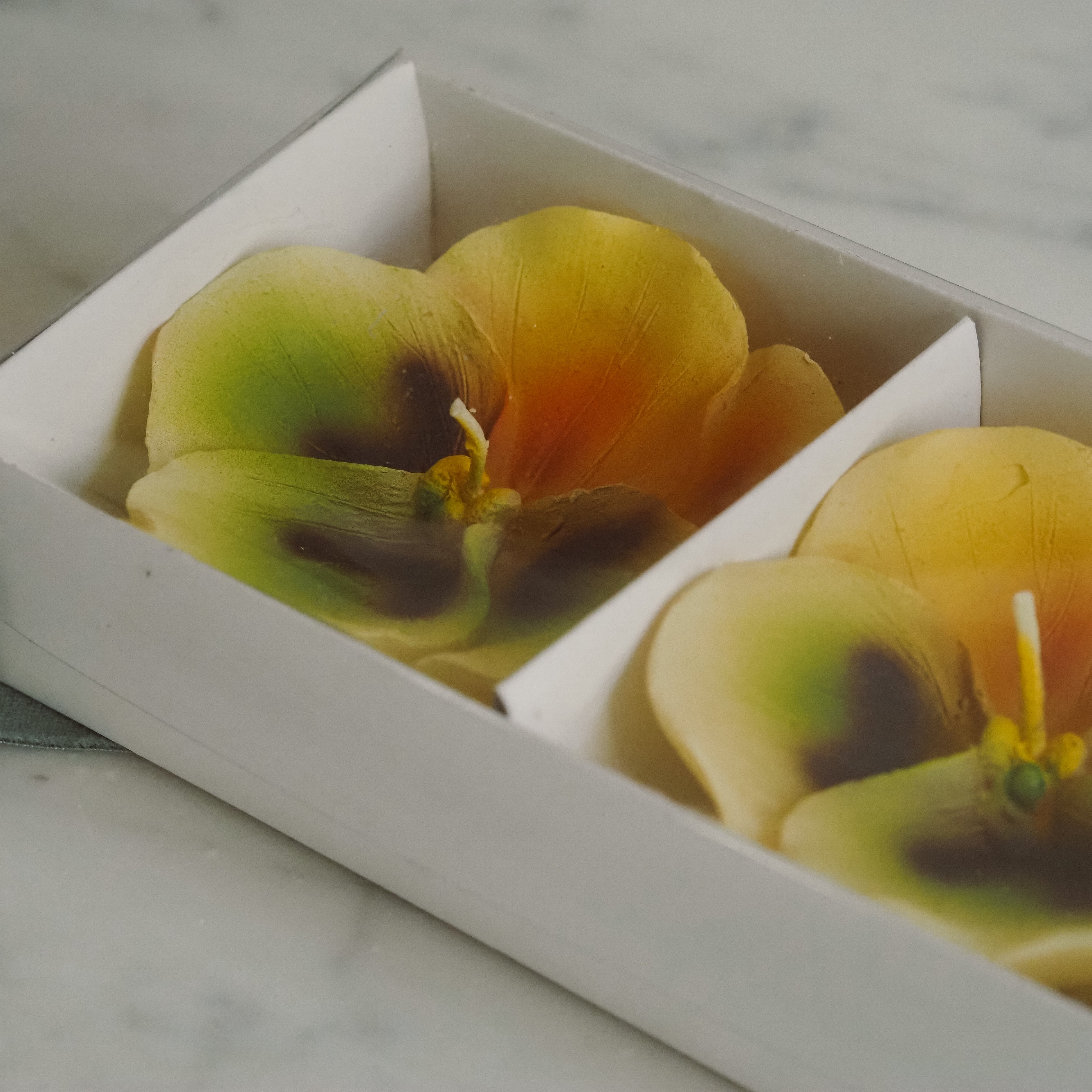 Geschenkkerzen Stiefmütterchen Gelb · florale Dekokerzen im 3er Set