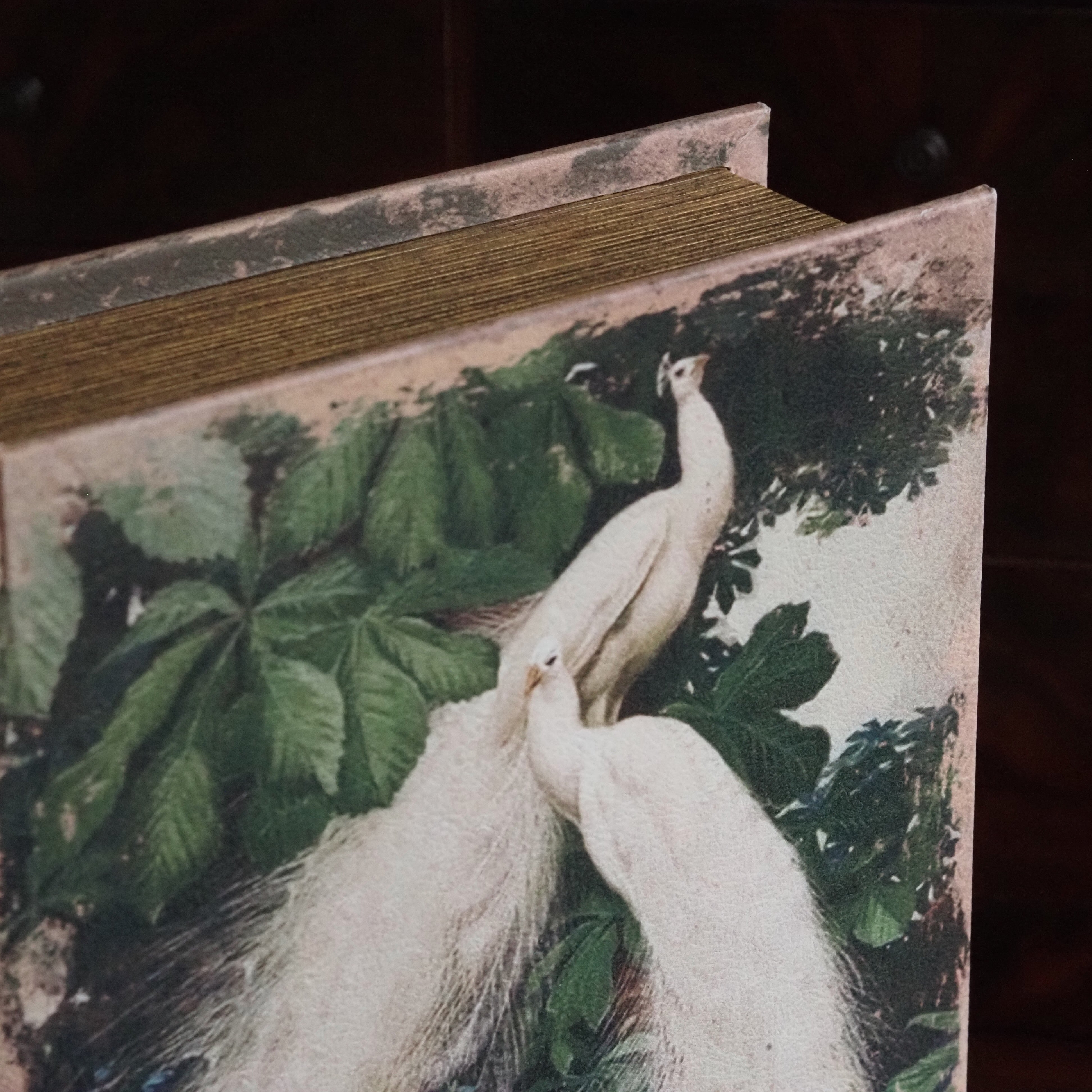 Buchdose Weiße Pfauen · Botanische Illustration Historismus Goldschnitt