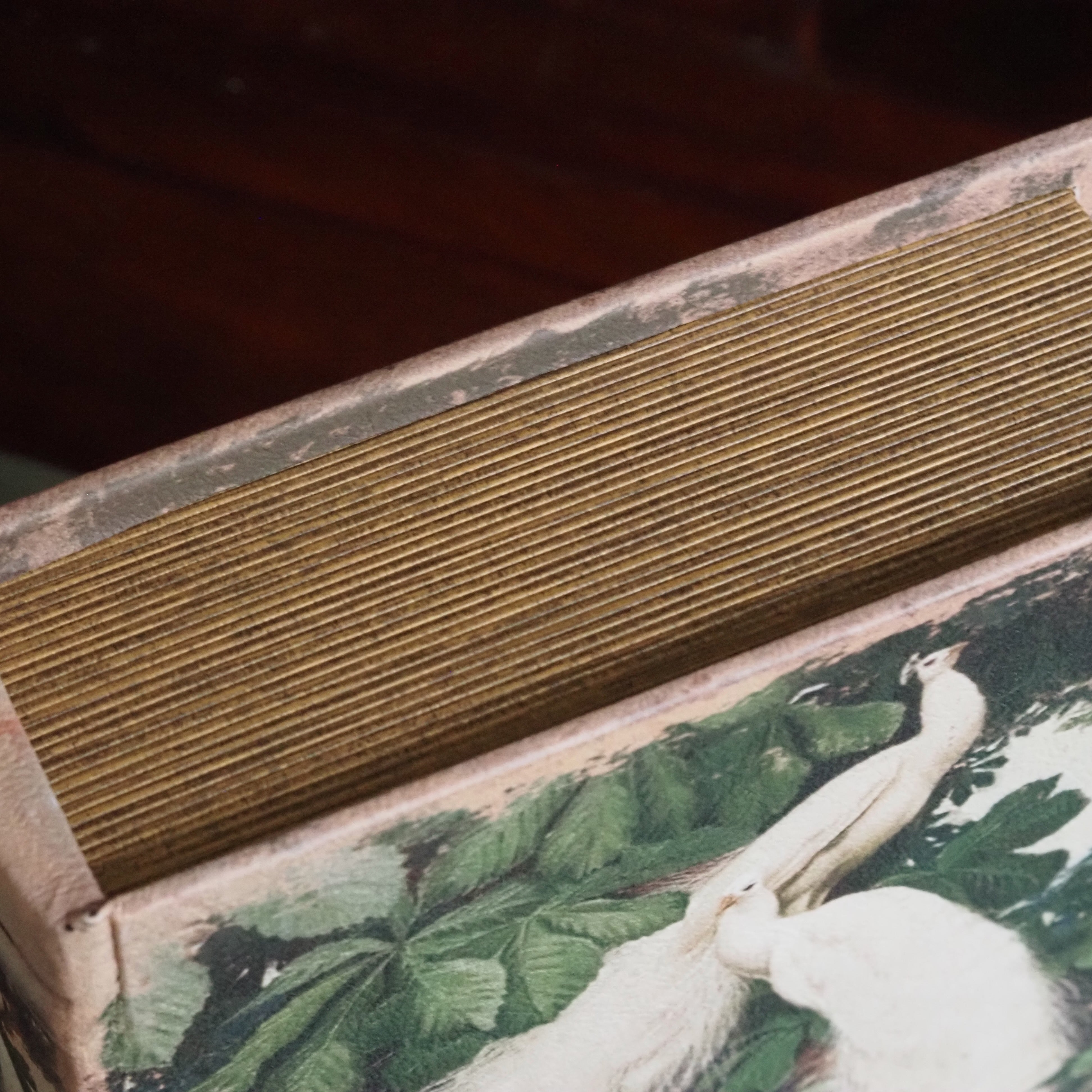 Buchdose Weiße Pfauen · Botanische Illustration Historismus Goldschnitt